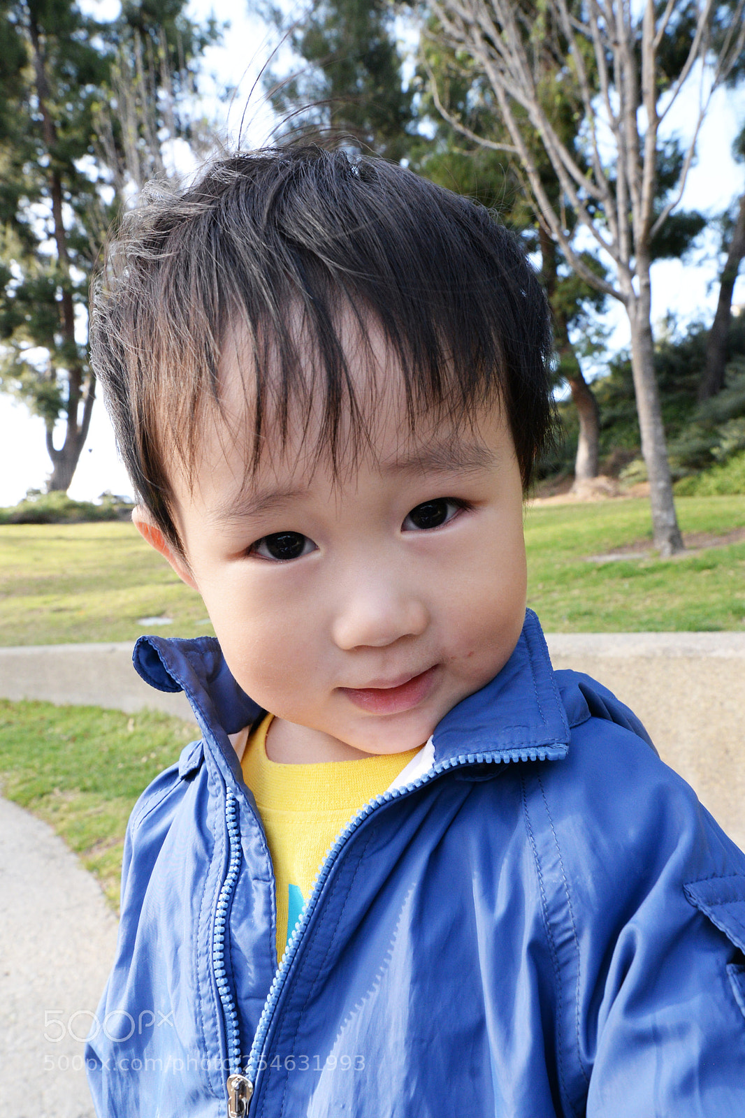Nikon D610 sample photo. Dsc photography