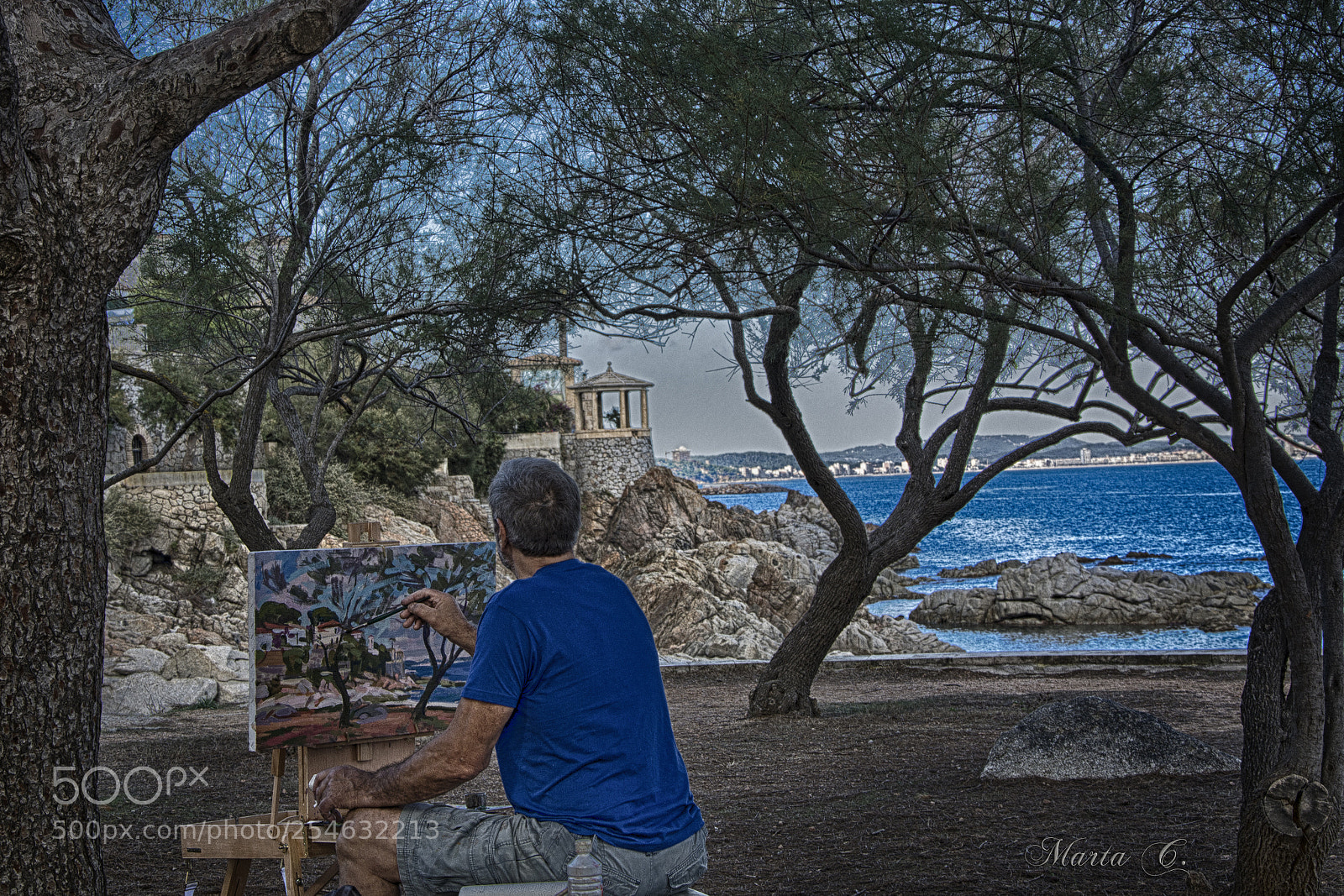 Nikon D7100 sample photo. Landscape painter photography