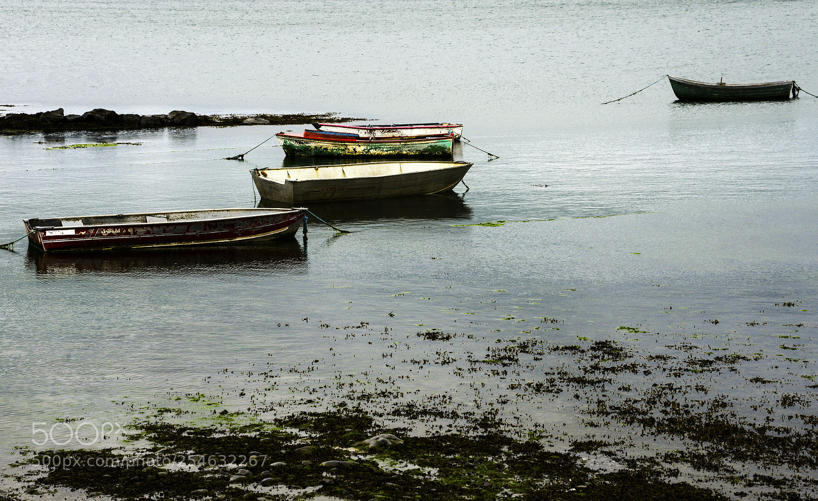 Nikon D800E sample photo. Row boats in ireland photography