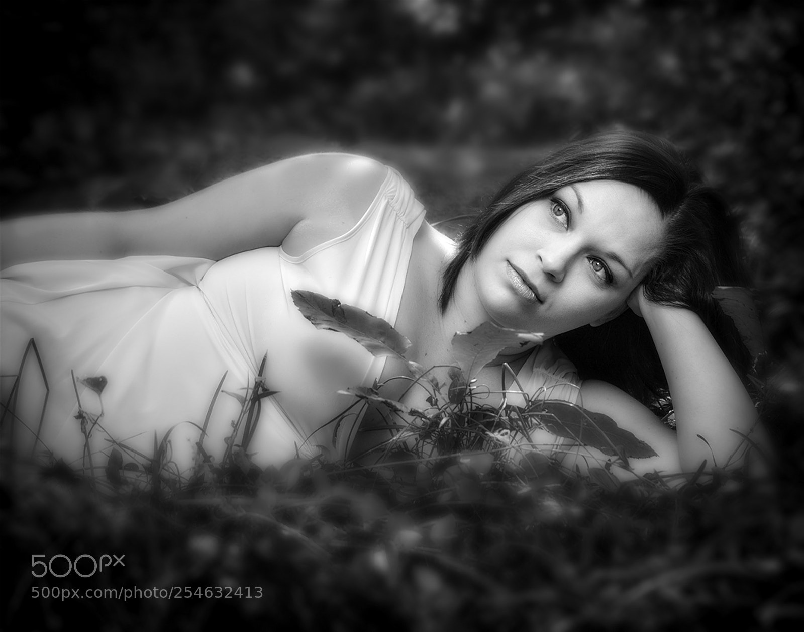 Nikon D5200 sample photo. Forest queen photography
