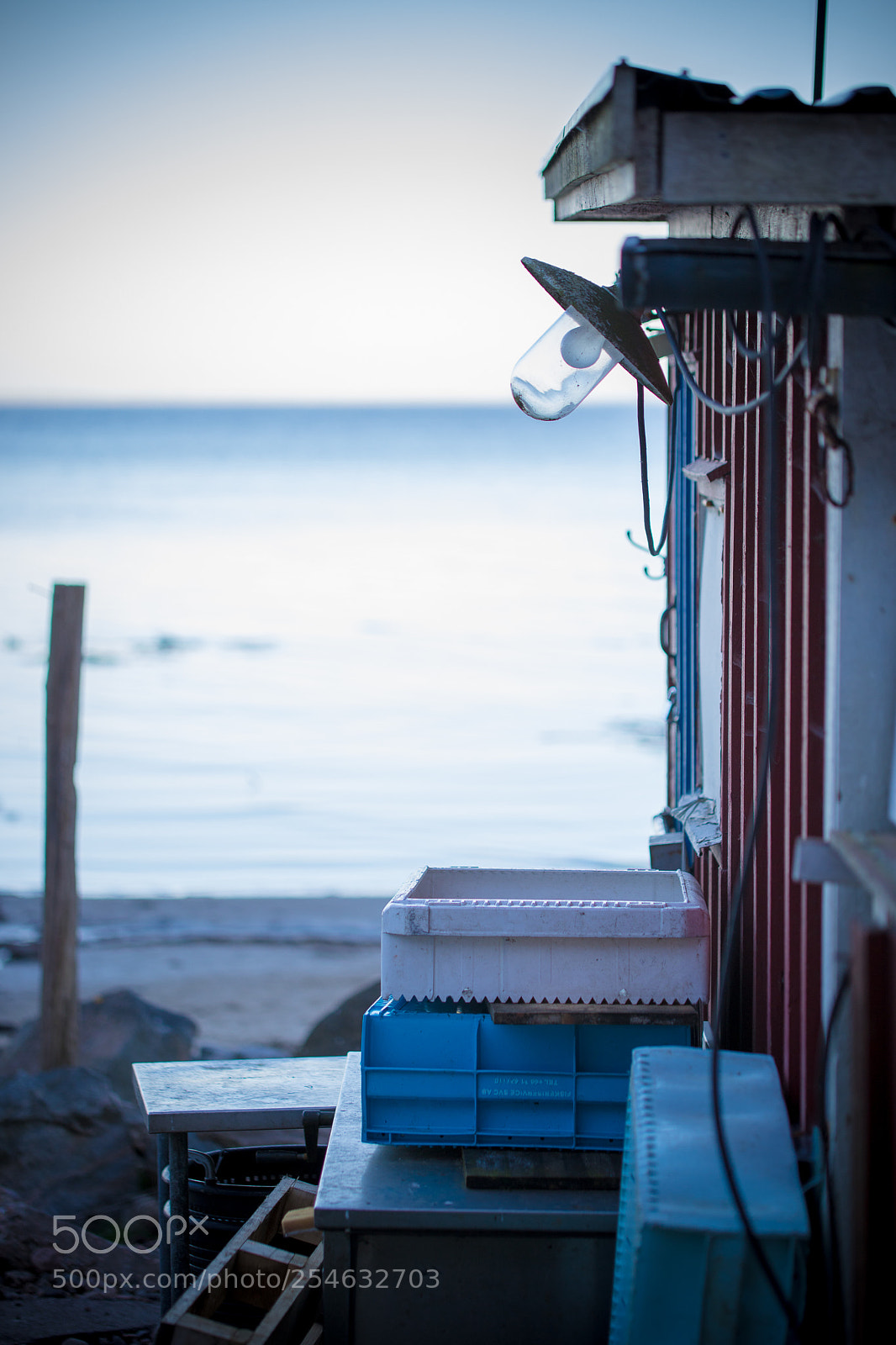 Canon EOS 6D Mark II sample photo. Towards summer photography