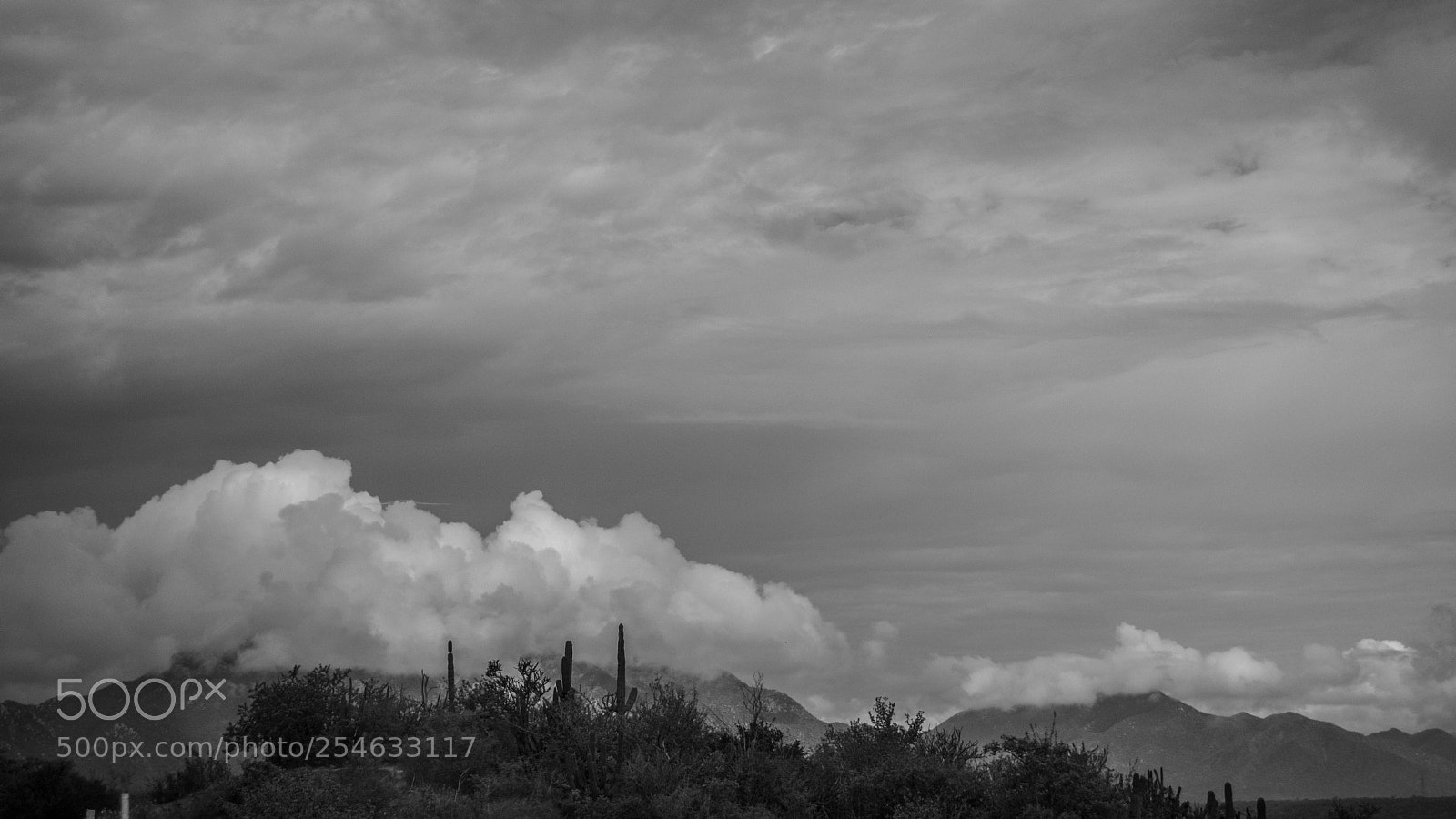 Nikon D7100 sample photo. Noir memories pt. iii photography