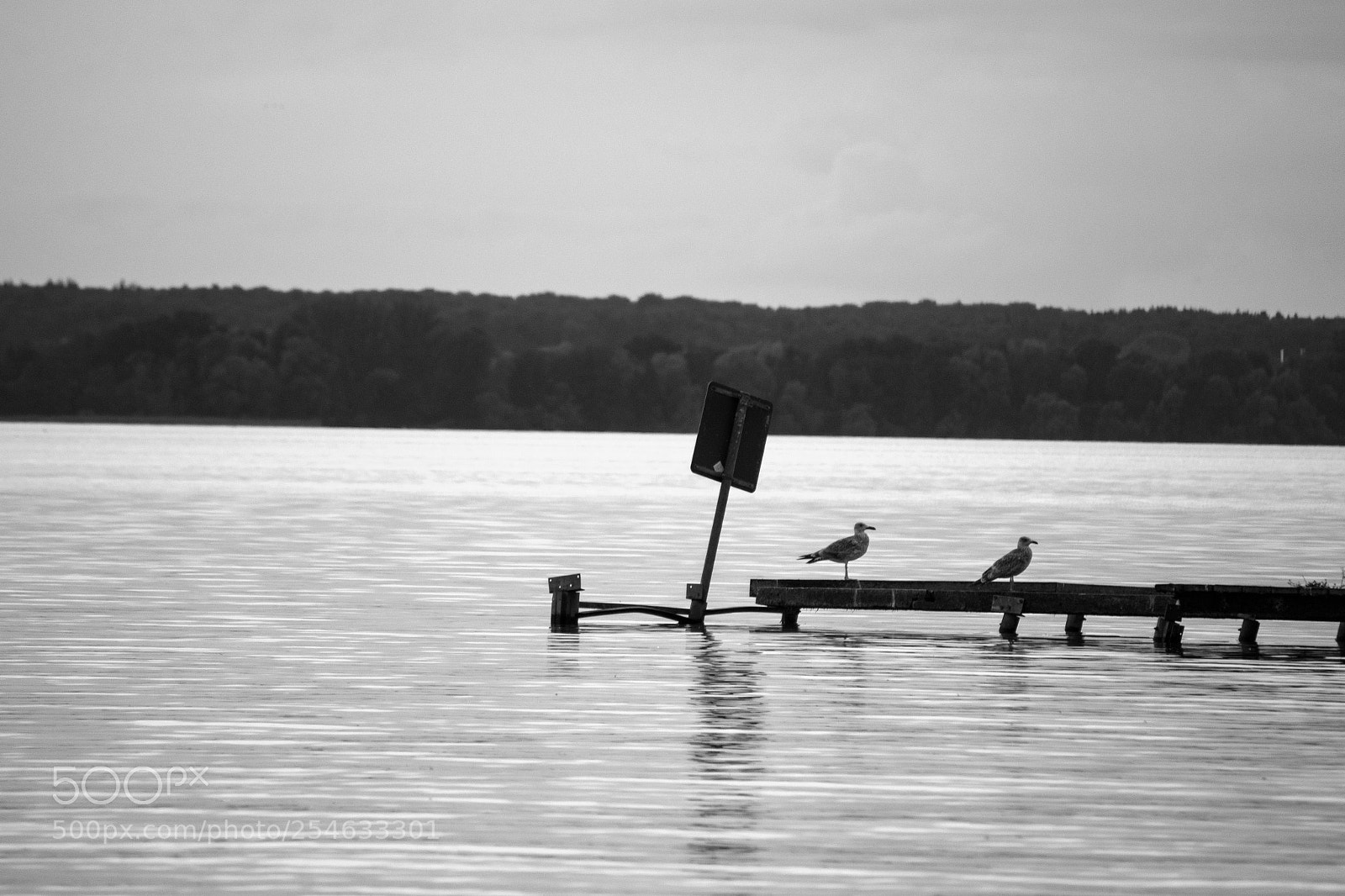 Nikon D3300 sample photo. 08/2017 - schweriner see photography