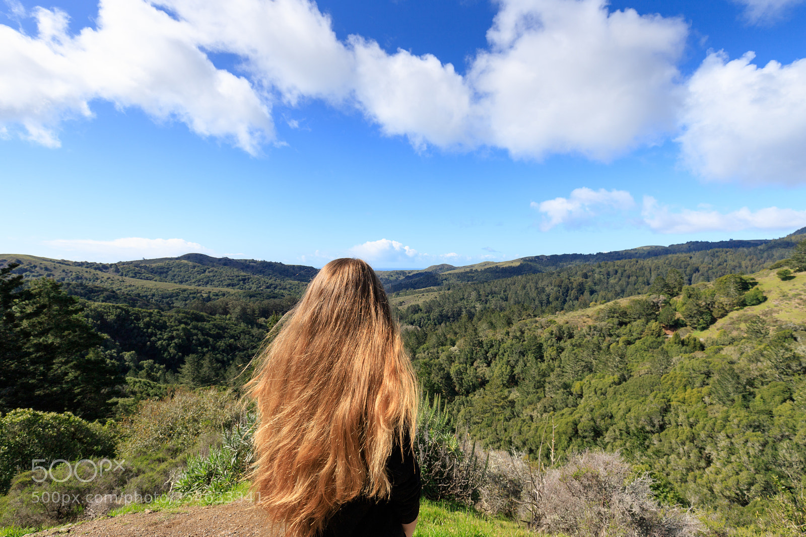 Canon EOS 6D Mark II sample photo. Looking into the distance photography