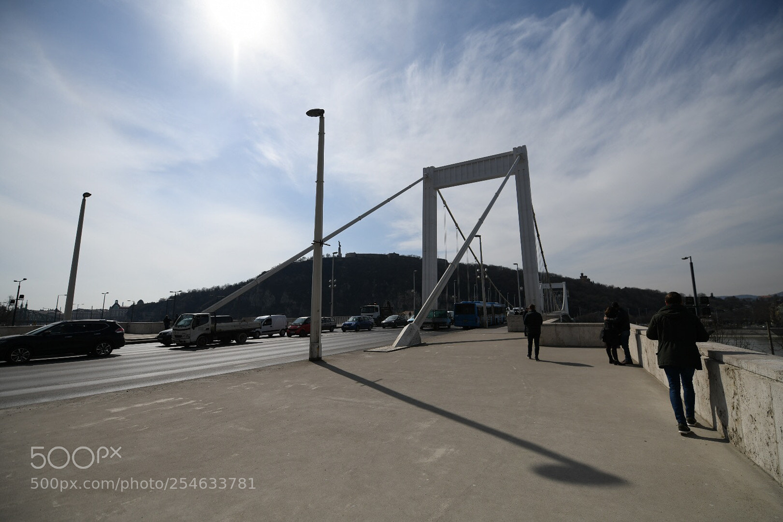 Nikon D850 sample photo. Bridge photography