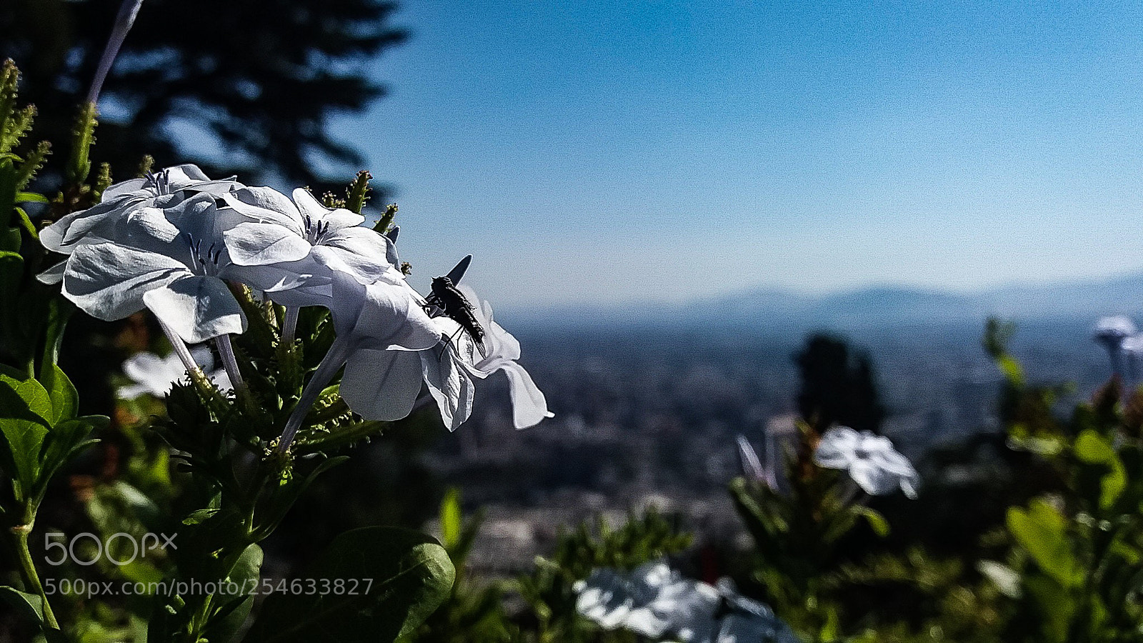 Samsung Galaxy J5(2016) sample photo. Santiago en verde photography