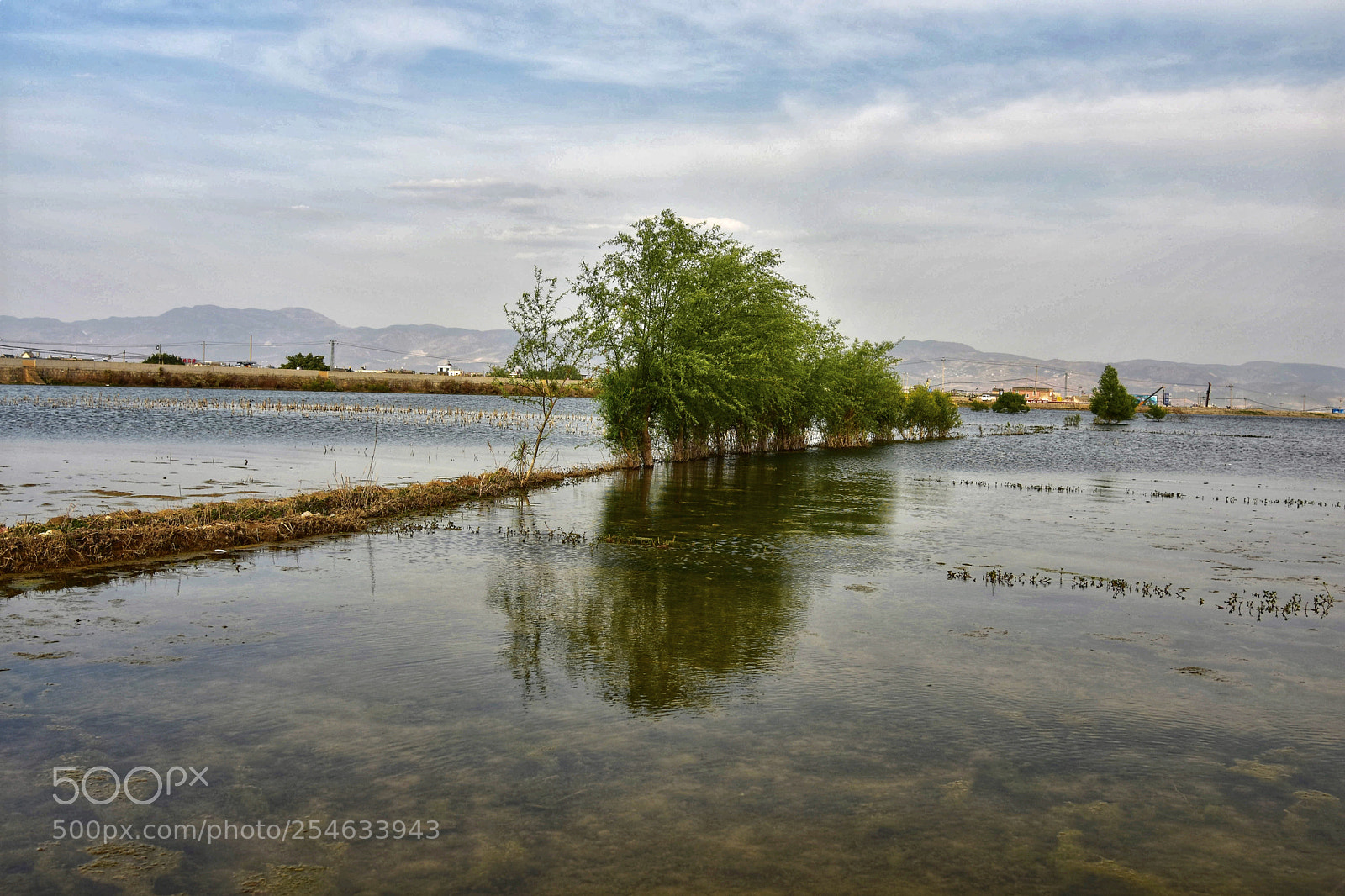 Nikon D7200 sample photo. Lake photography