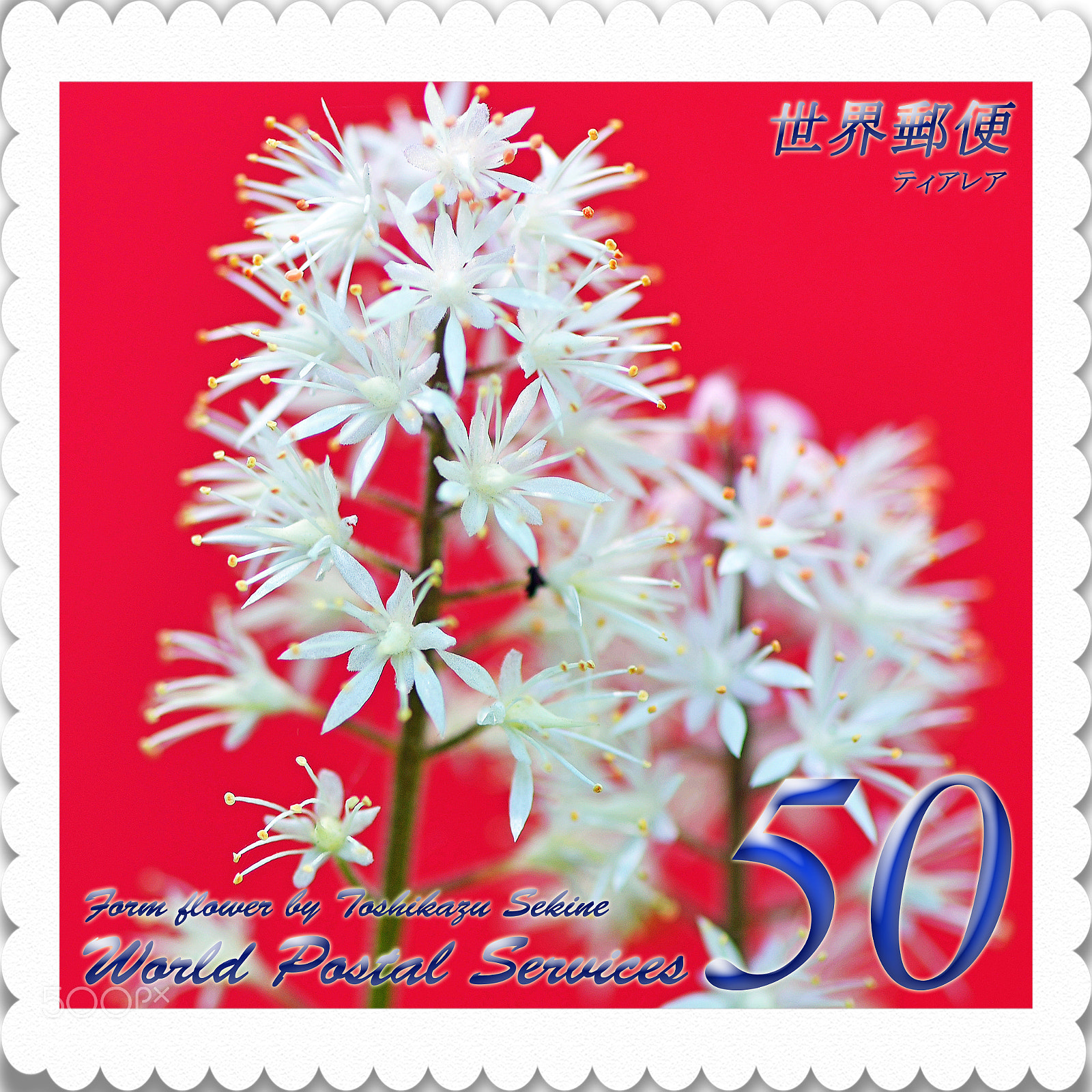 Nikon D800E sample photo. Form flower photography