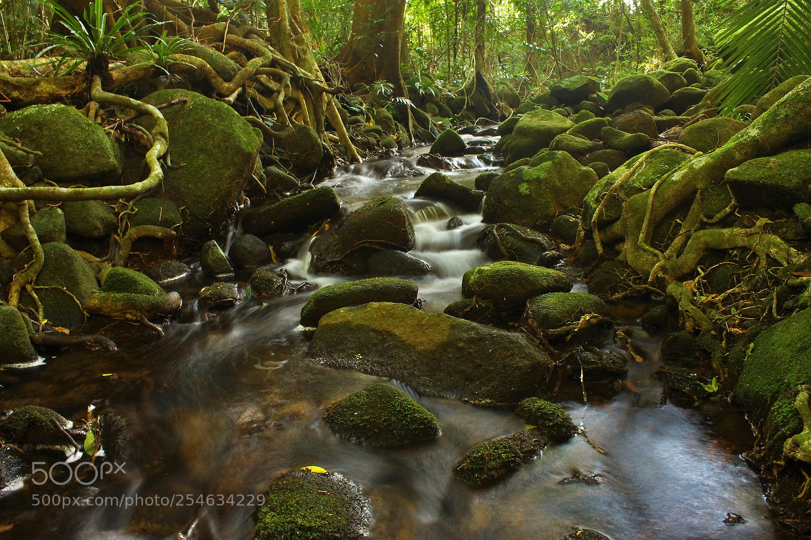 Canon EOS 1100D (EOS Rebel T3 / EOS Kiss X50) sample photo. Mossy creek photography