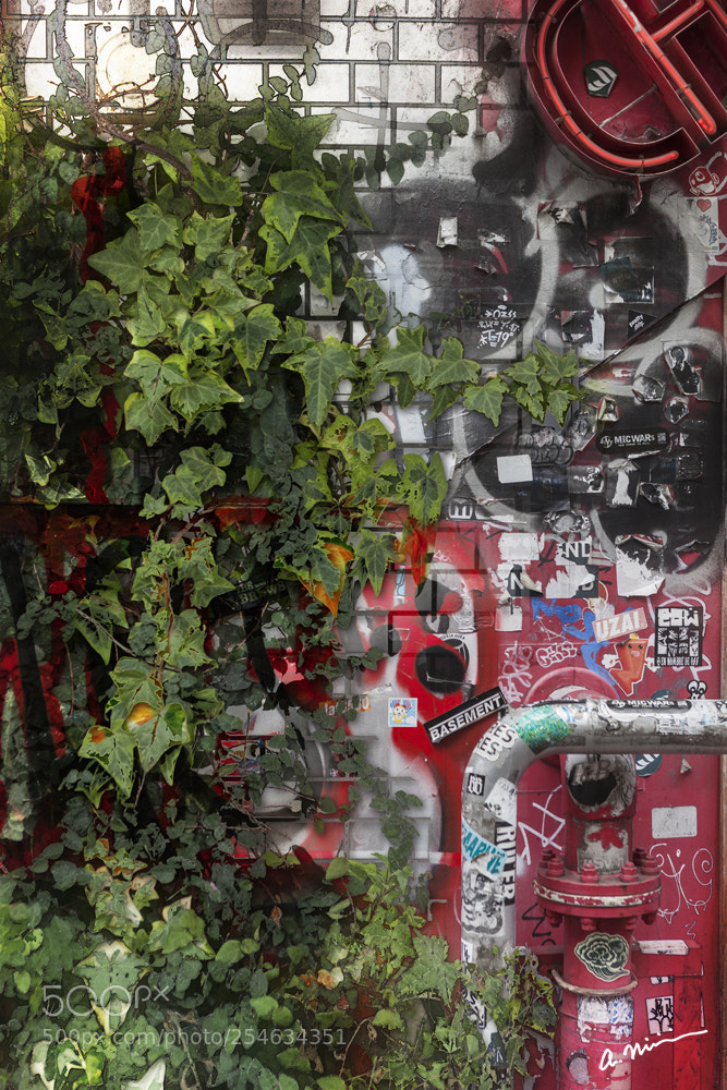 Canon EOS 5D Mark II sample photo. A wall in shibuya photography