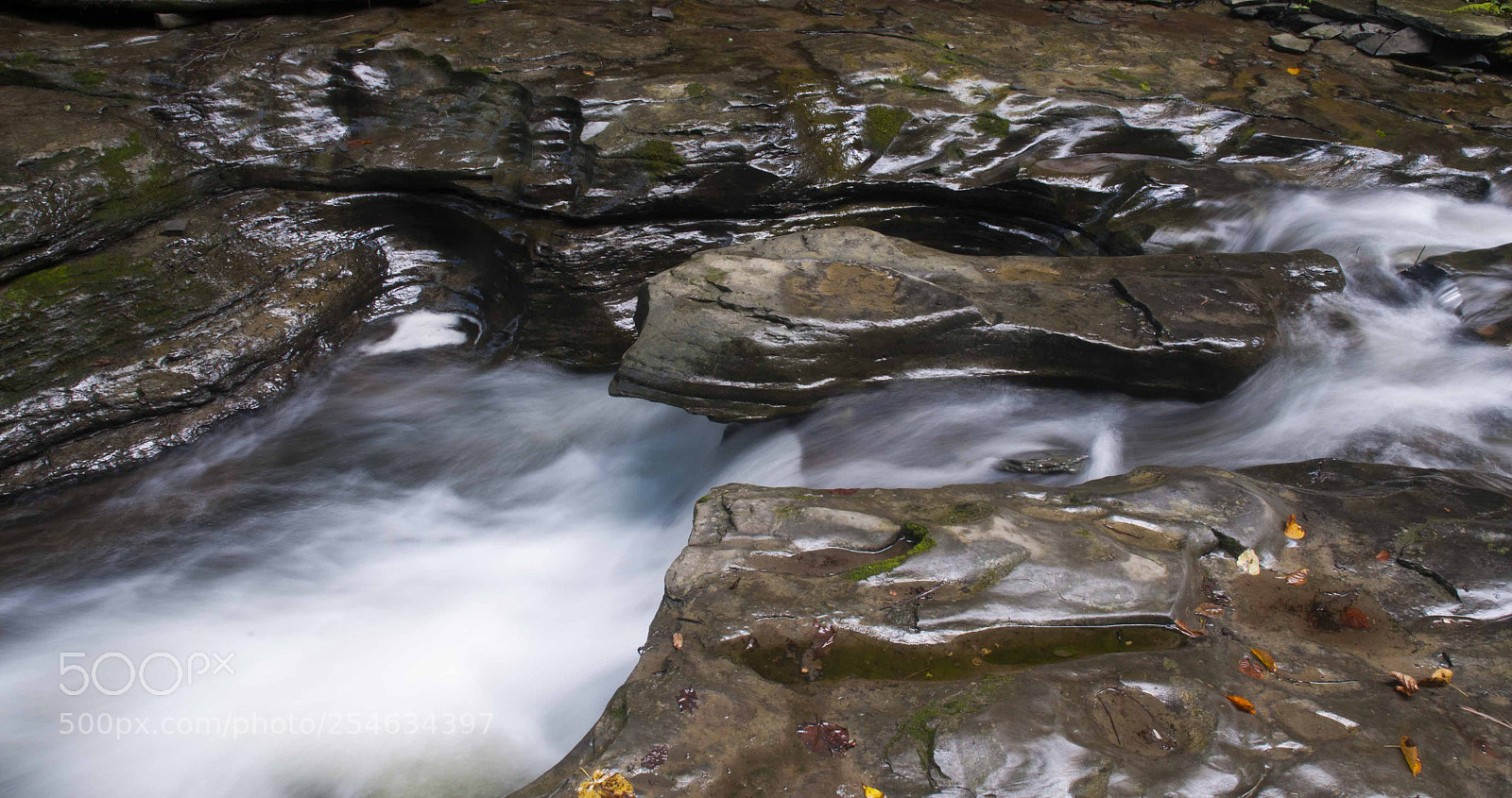 Nikon D300 sample photo. Step out if you photography