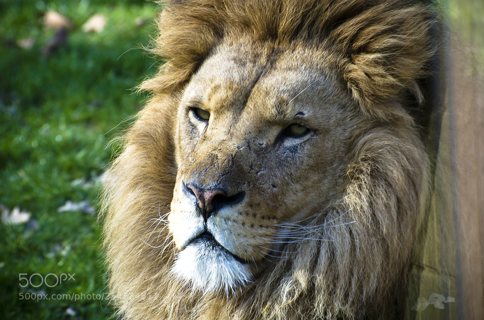 Nikon D7000 sample photo. Untitled photography