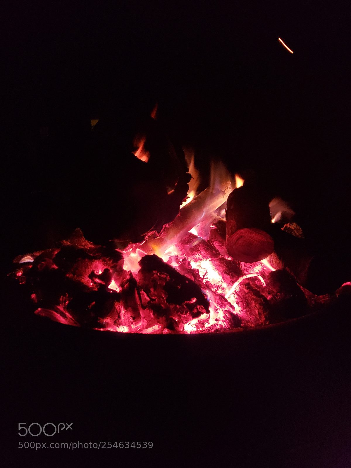 Samsung Galaxy S9+ sample photo. Untitled photography