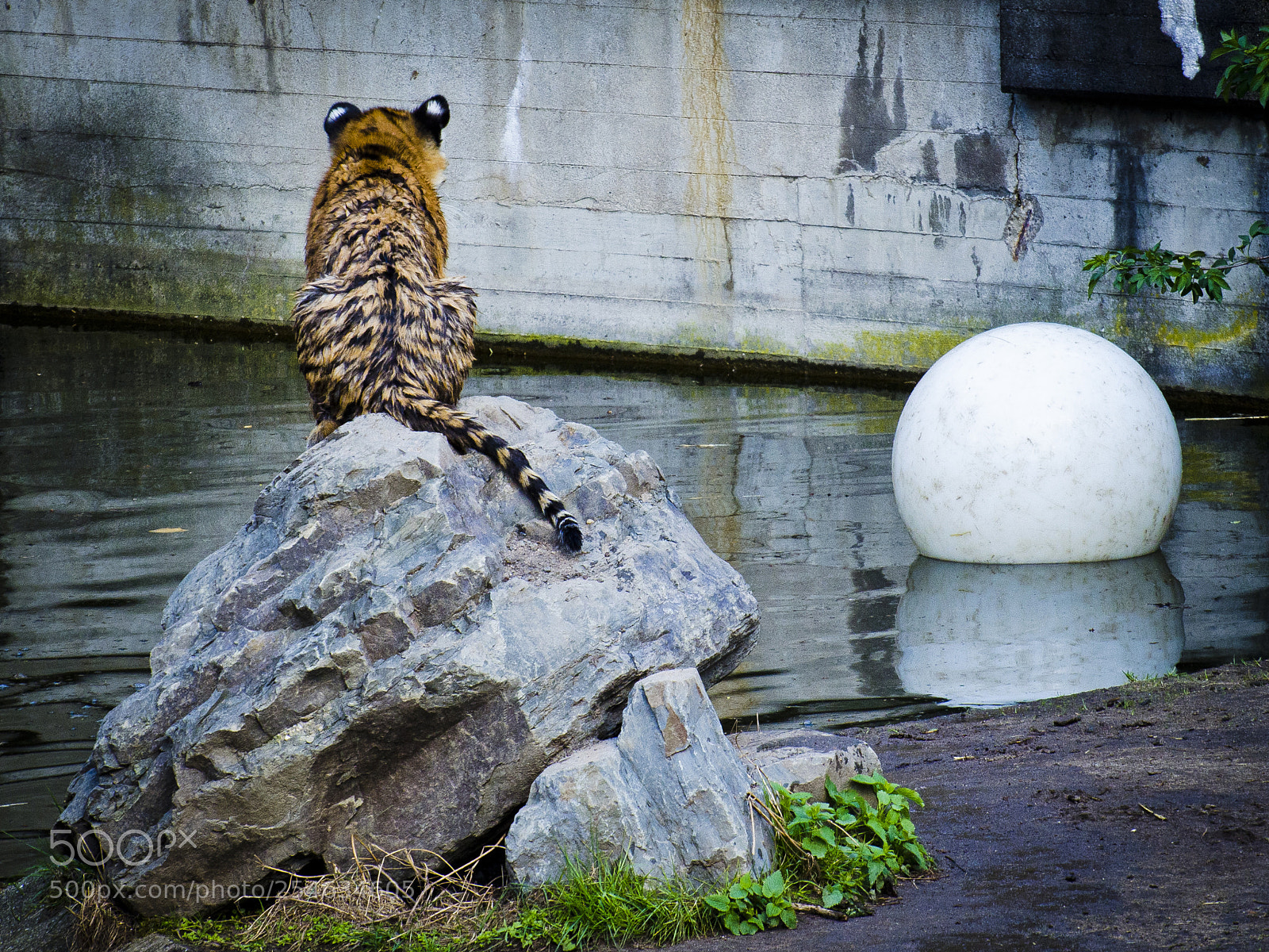 Nikon D7000 sample photo. Untitled photography