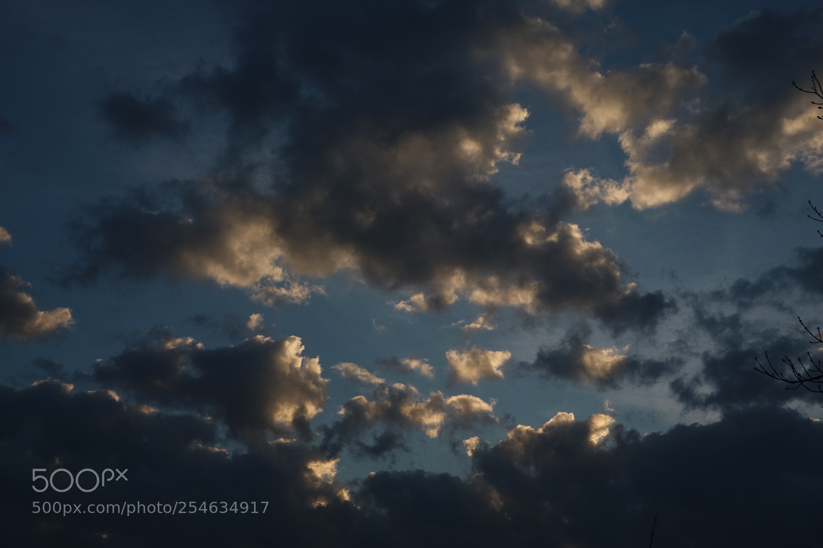 Canon EOS M3 sample photo. Untitled photography
