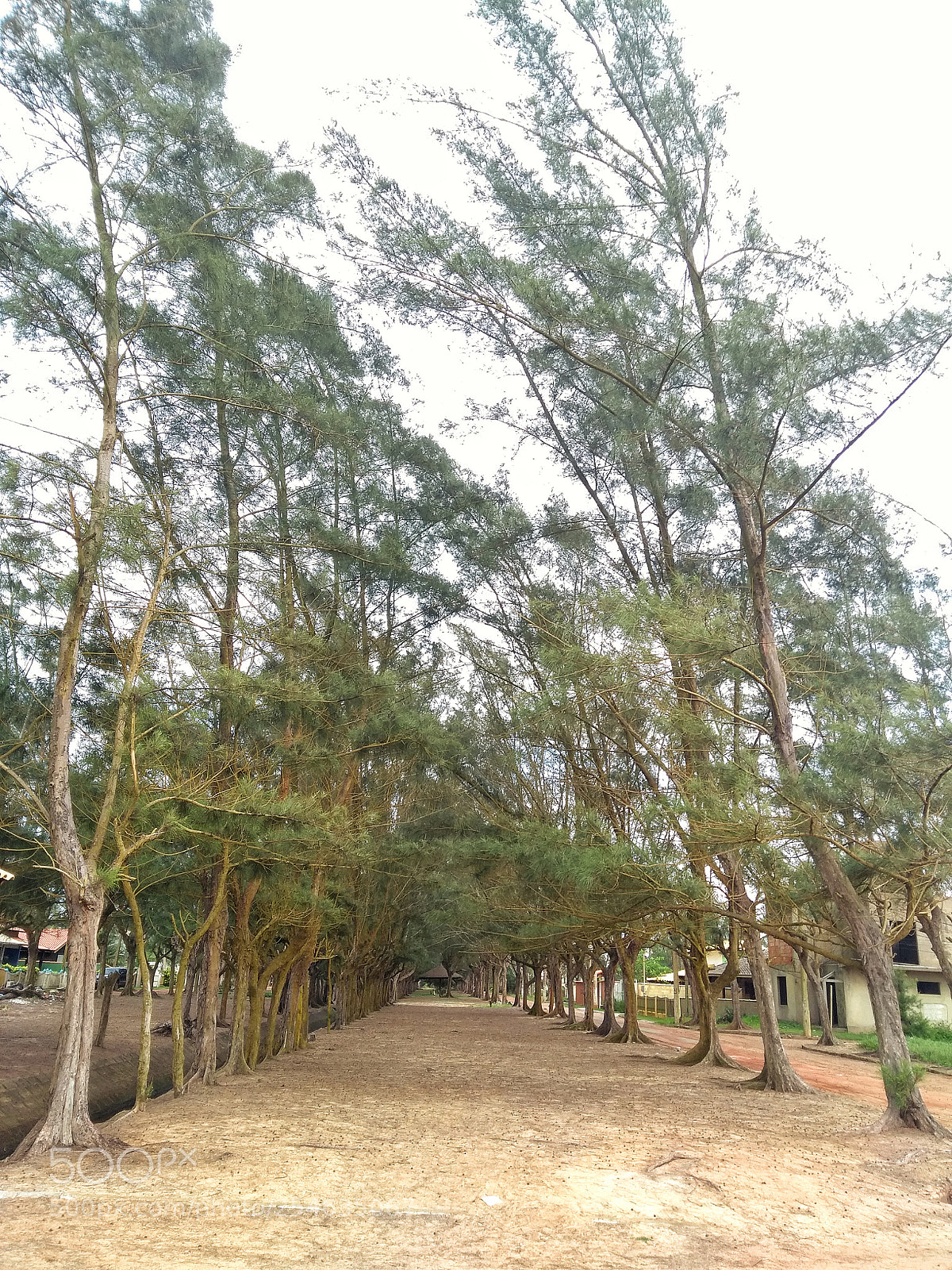 Motorola Moto G (5th Gen) sample photo. Untitled photography