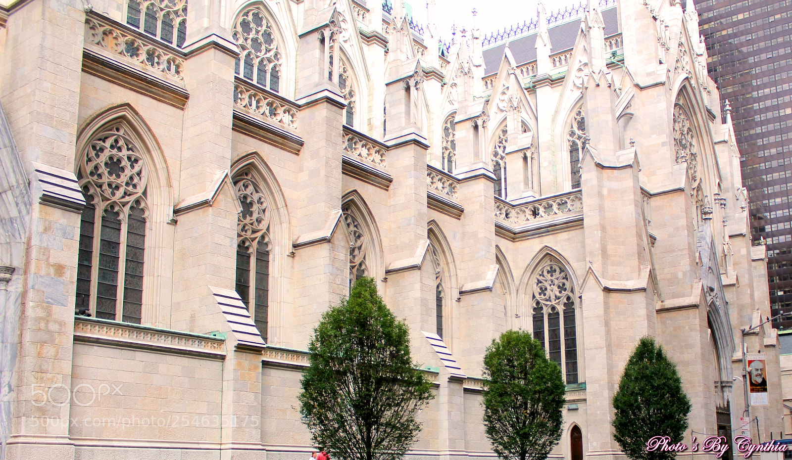 Canon EOS 550D (EOS Rebel T2i / EOS Kiss X4) sample photo. St patricks cathedral photography
