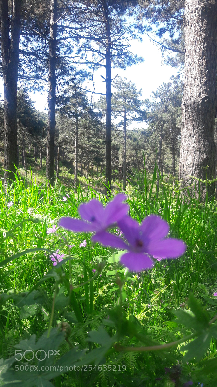Samsung Galaxy J7 sample photo. Untitled photography