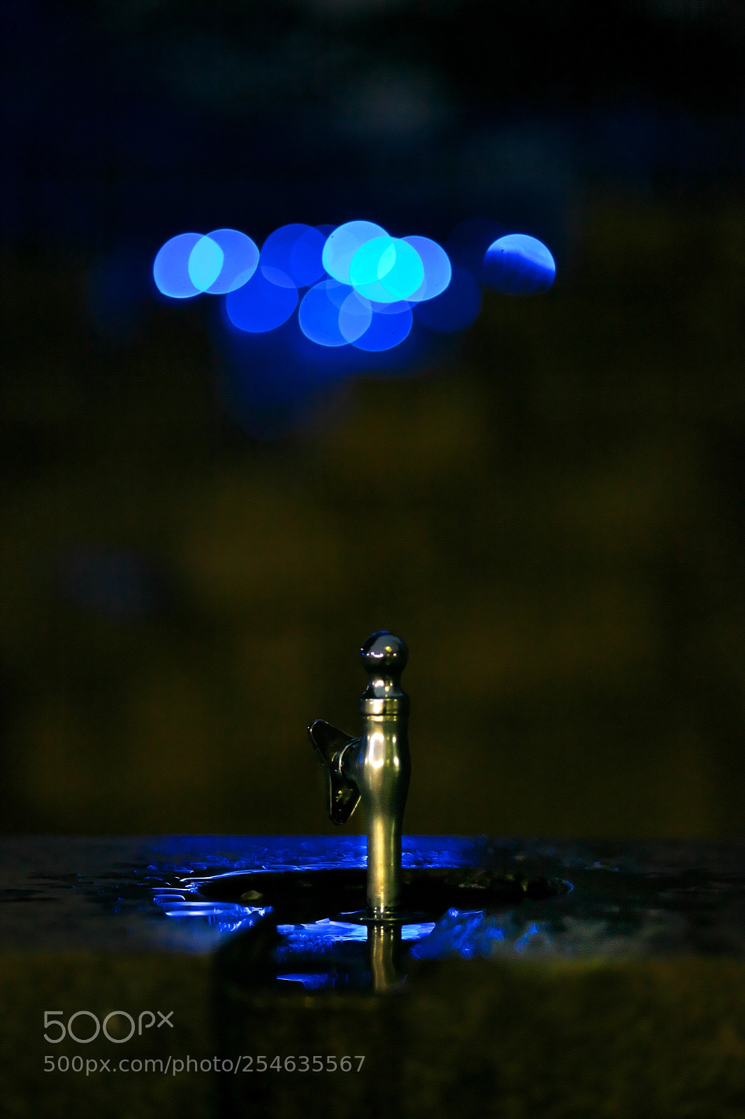 Canon EOS 5D Mark II sample photo. Want to drink? photography