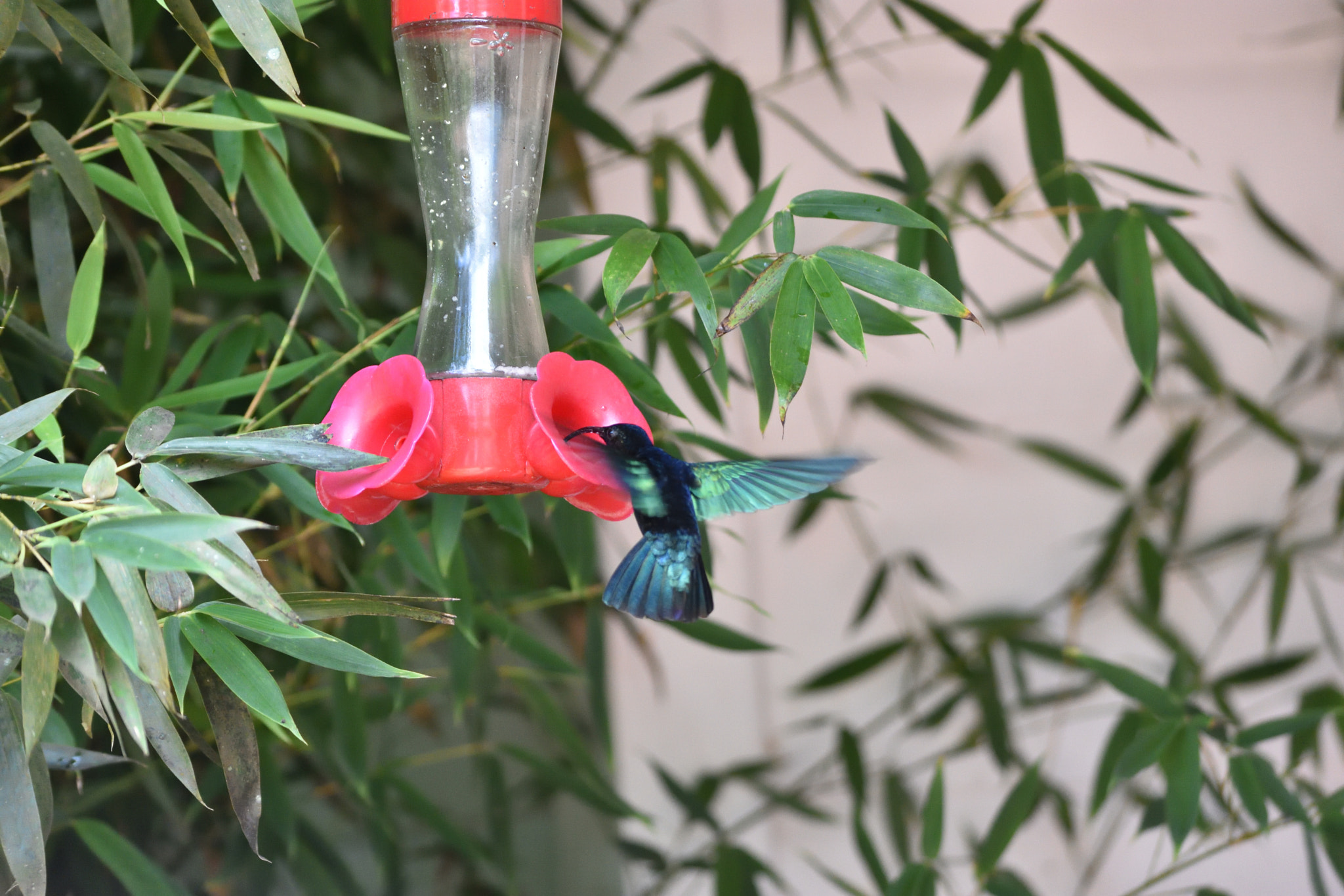 Nikon D3400 sample photo
