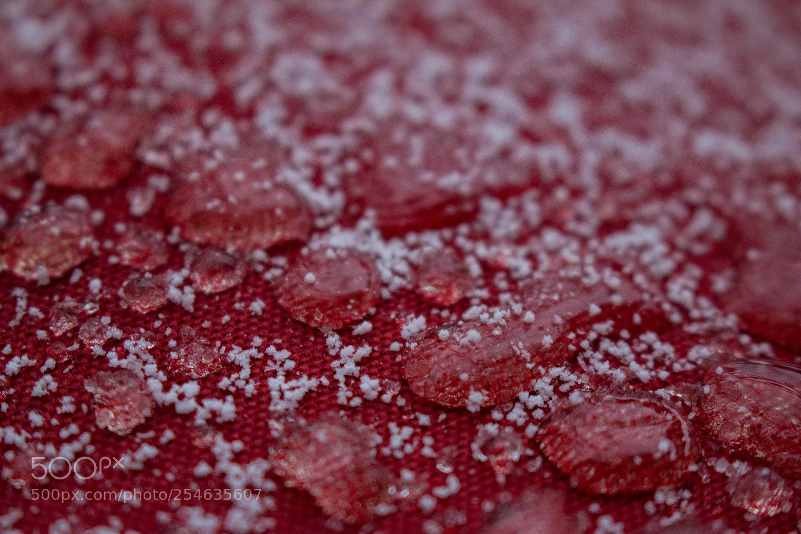 Canon EOS 70D sample photo. Cranberry crush photography