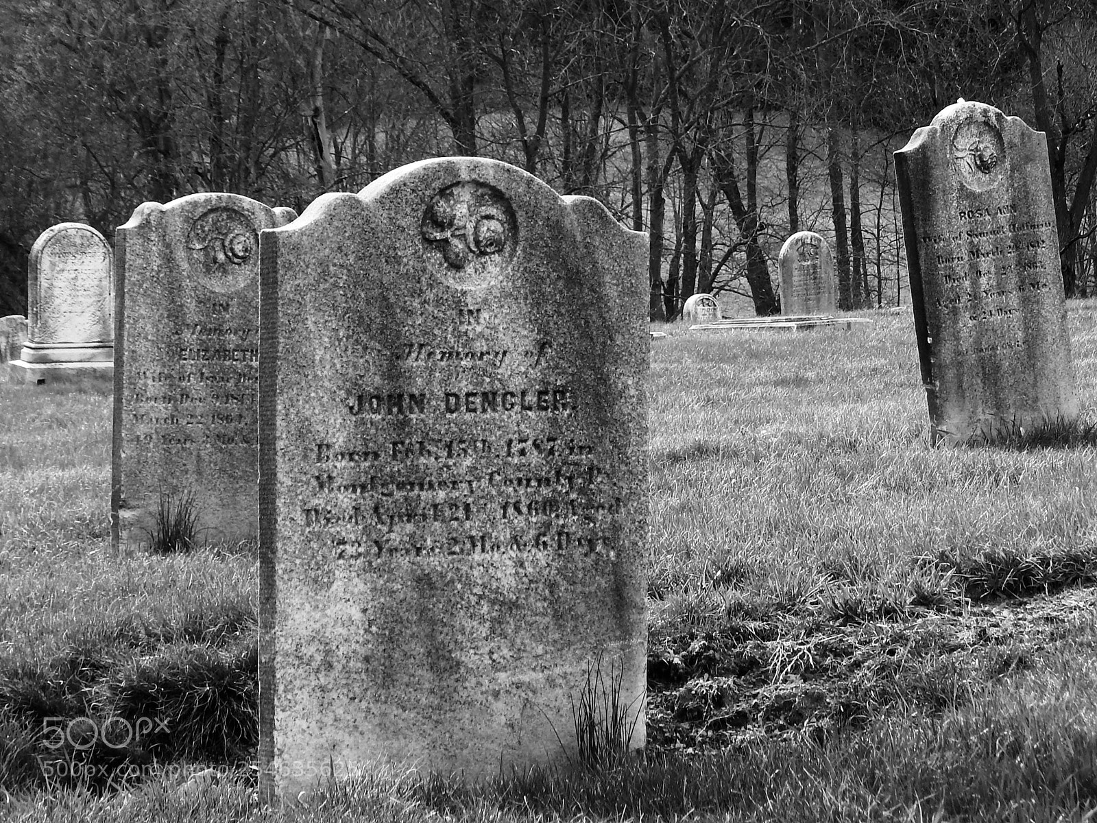 Nikon Coolpix L820 sample photo. Cemetary photography