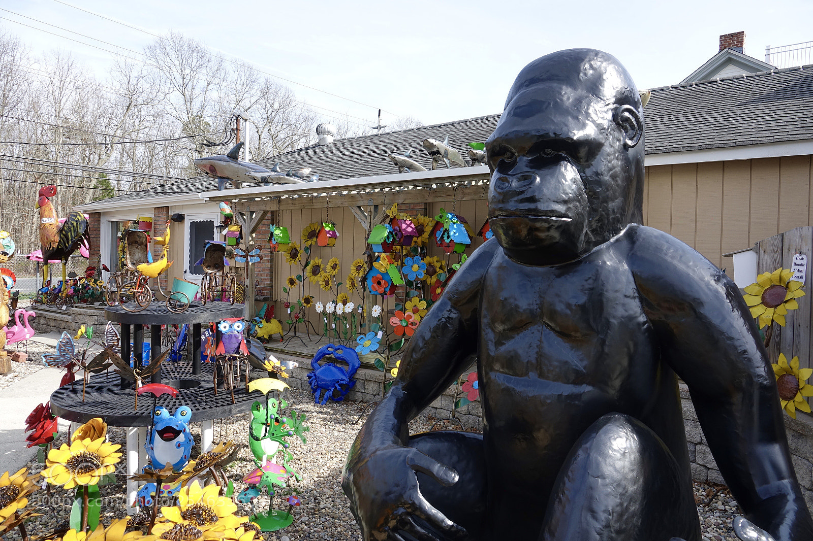 Sony Cyber-shot DSC-RX10 III sample photo. Kong he wouldn t photography