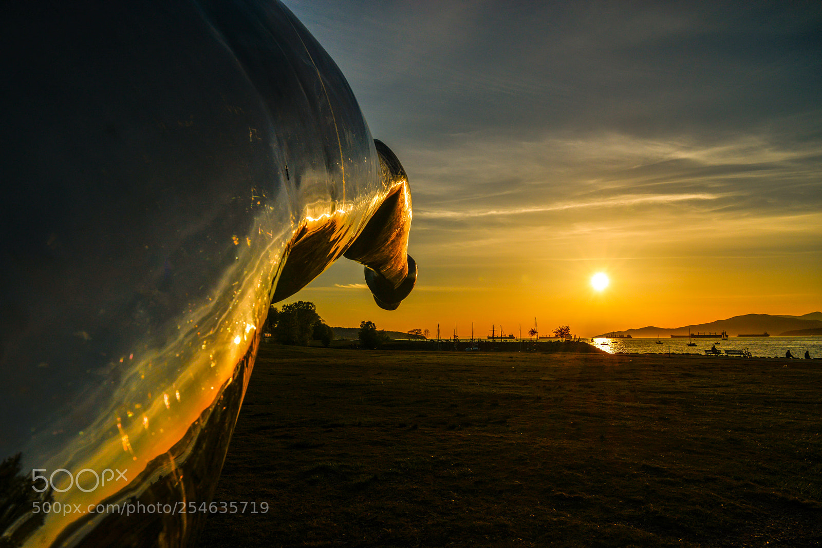Nikon D800 sample photo. Sculpture in the park photography