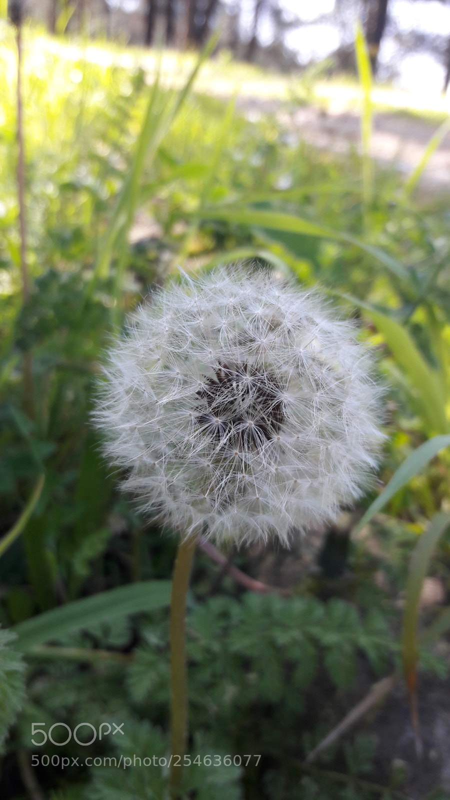 Samsung Galaxy J7 sample photo. Untitled photography