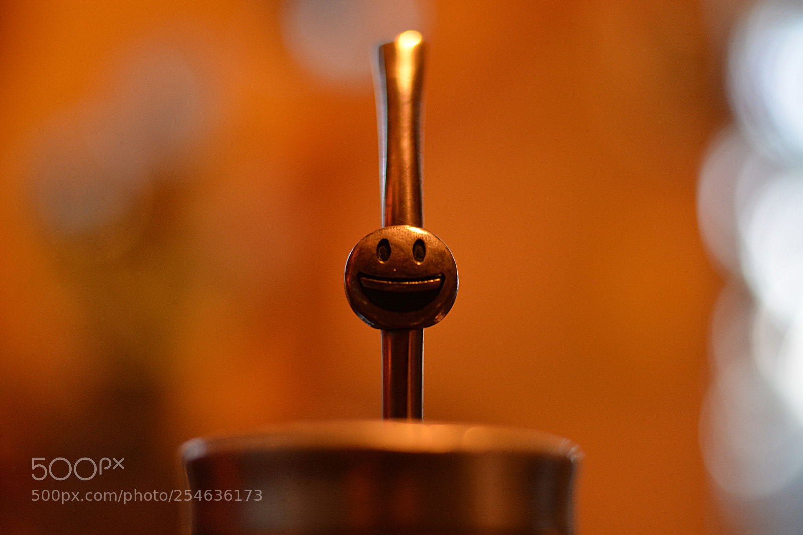 Nikon D7100 sample photo. Happiness is a warm photography