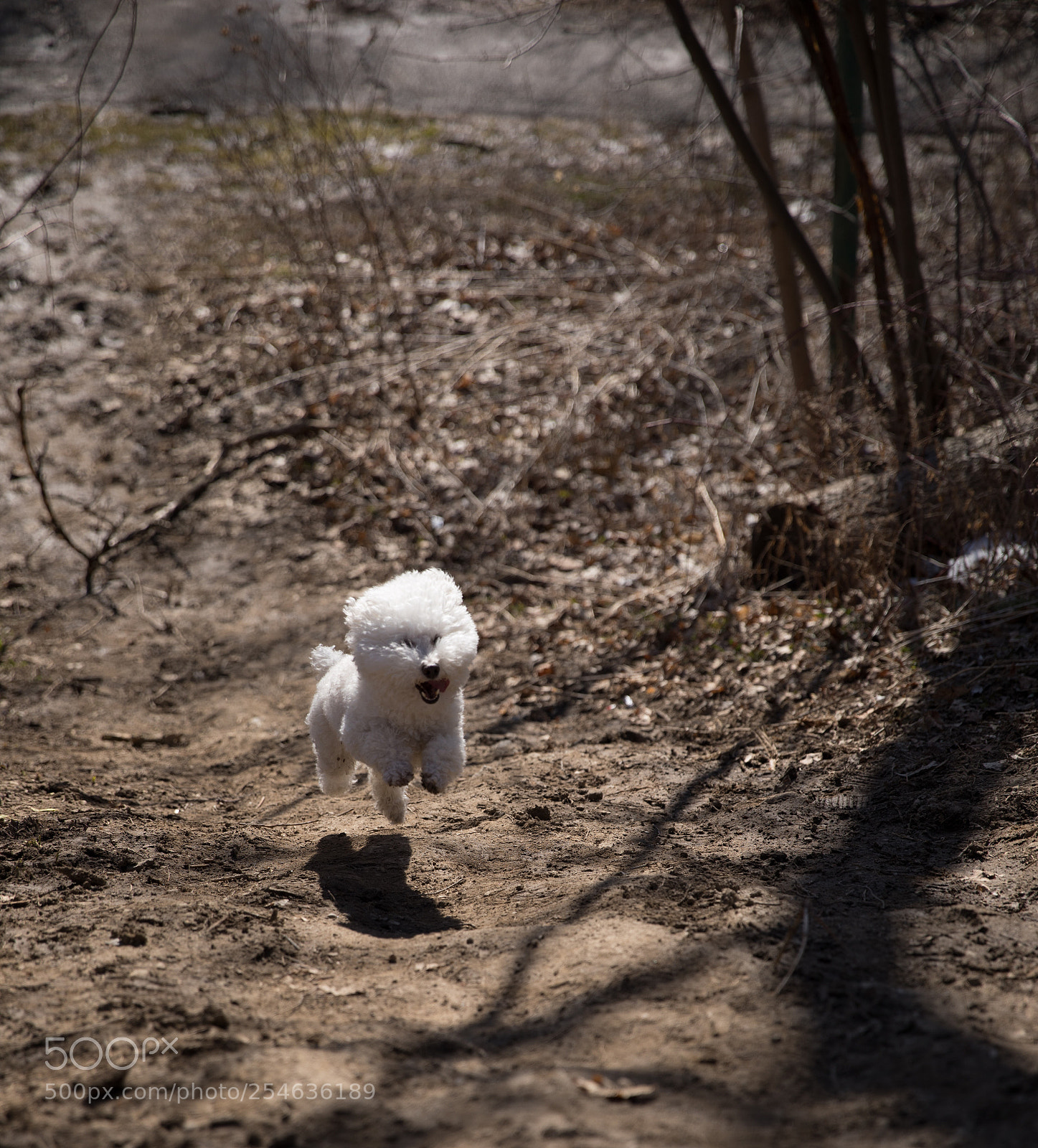 Canon EOS 5D Mark IV sample photo. Untitled photography