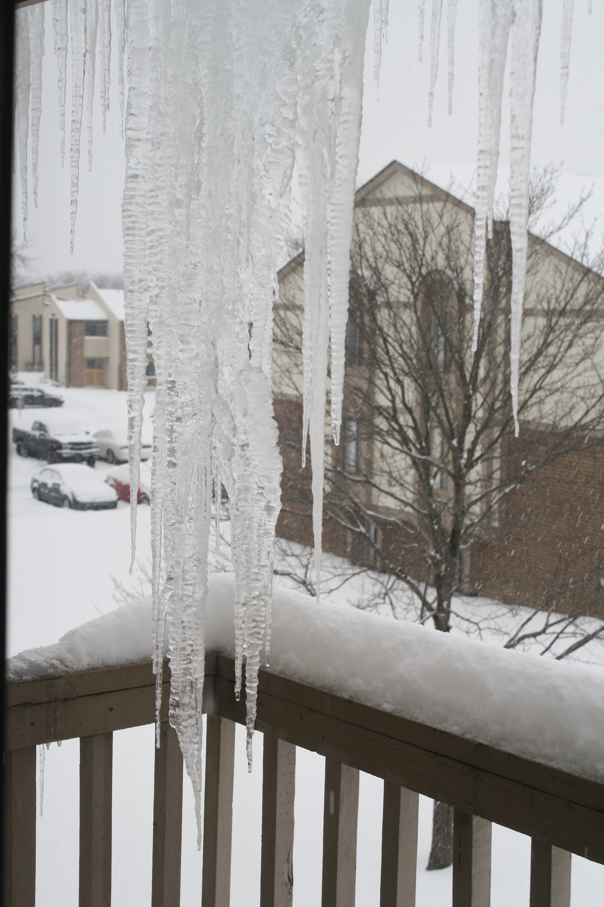 Canon EOS 1000D (EOS Digital Rebel XS / EOS Kiss F) sample photo. Icicles photography