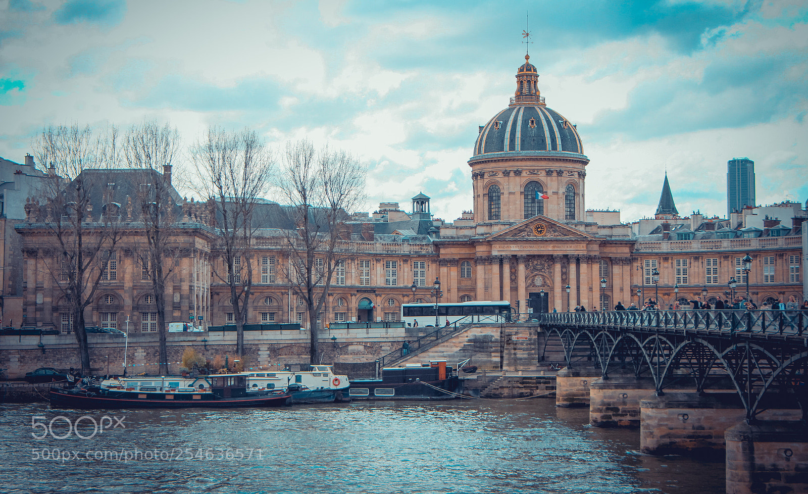 Canon EOS 700D (EOS Rebel T5i / EOS Kiss X7i) sample photo. Institut de france photography