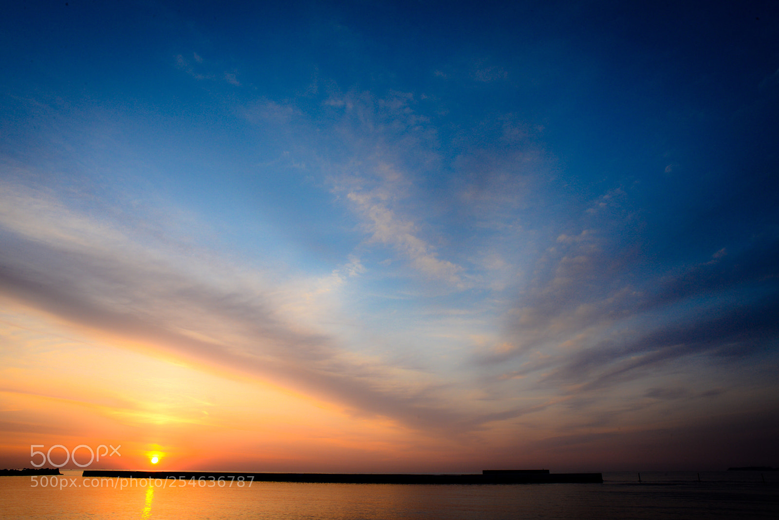 Nikon D600 sample photo. Good morning photography