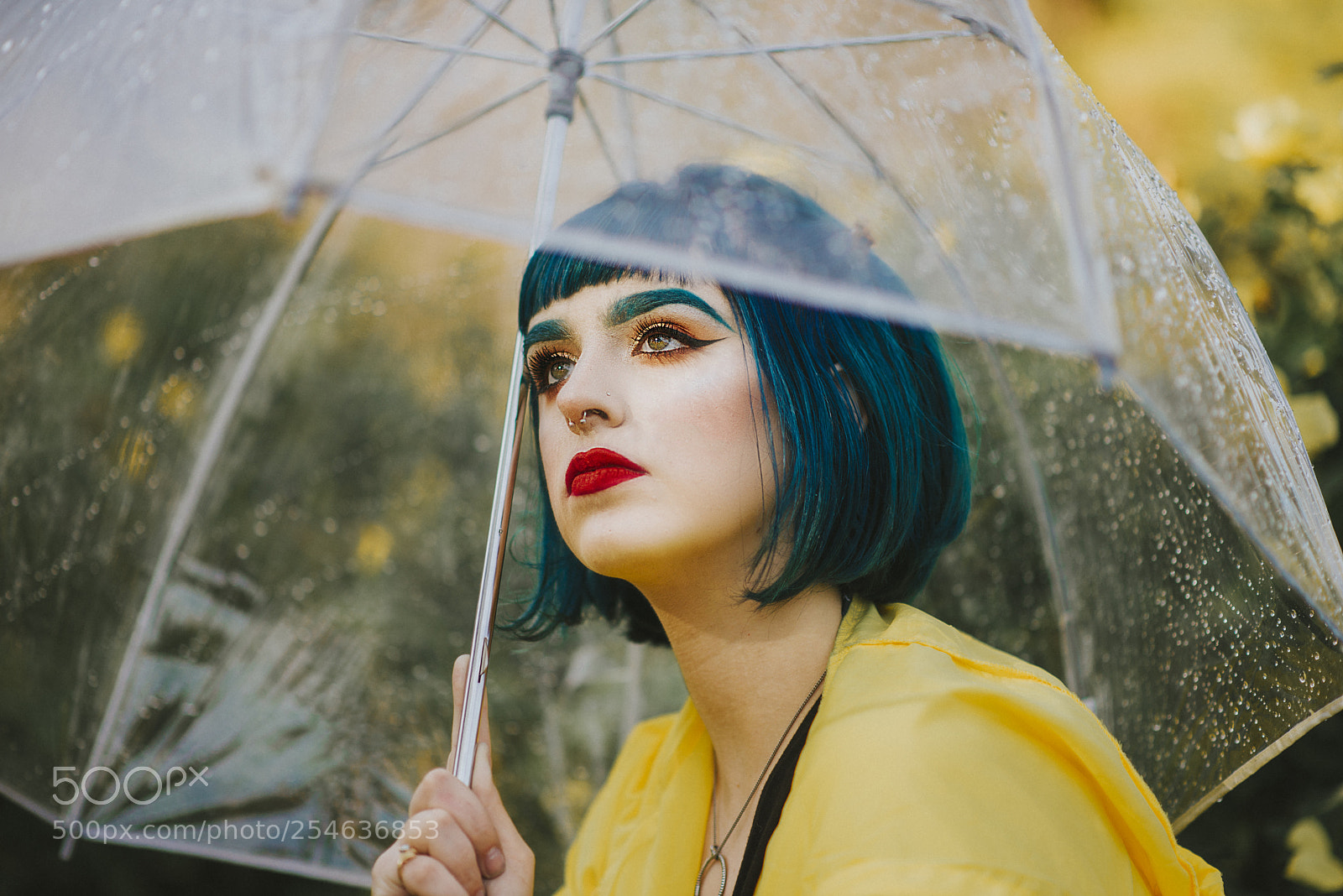 Nikon D610 sample photo. Untitled photography