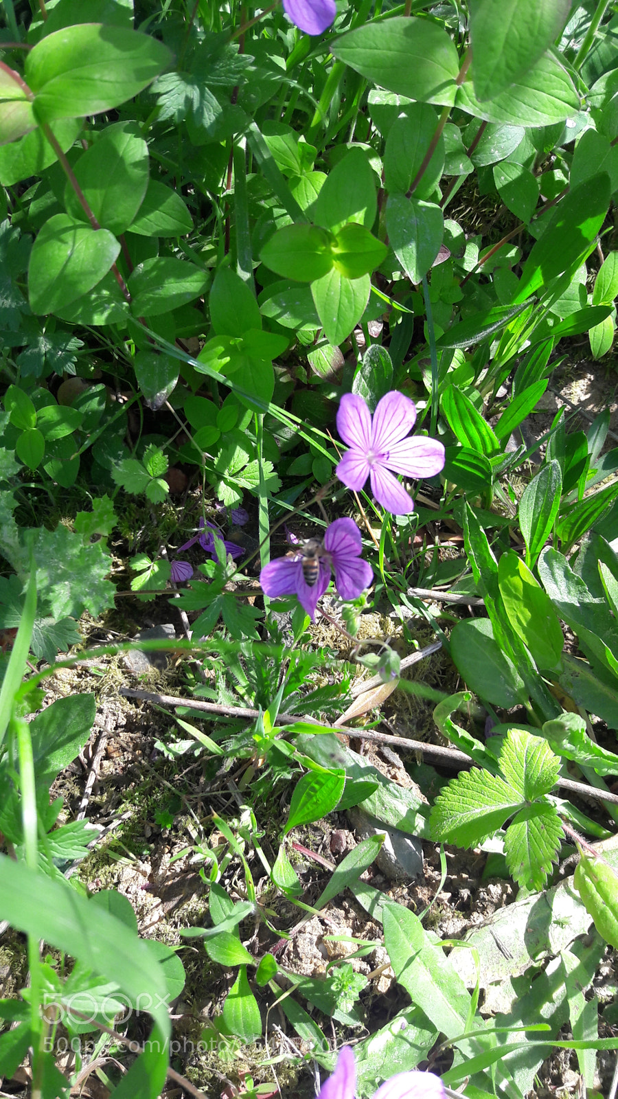 Samsung Galaxy J7 sample photo. Untitled photography