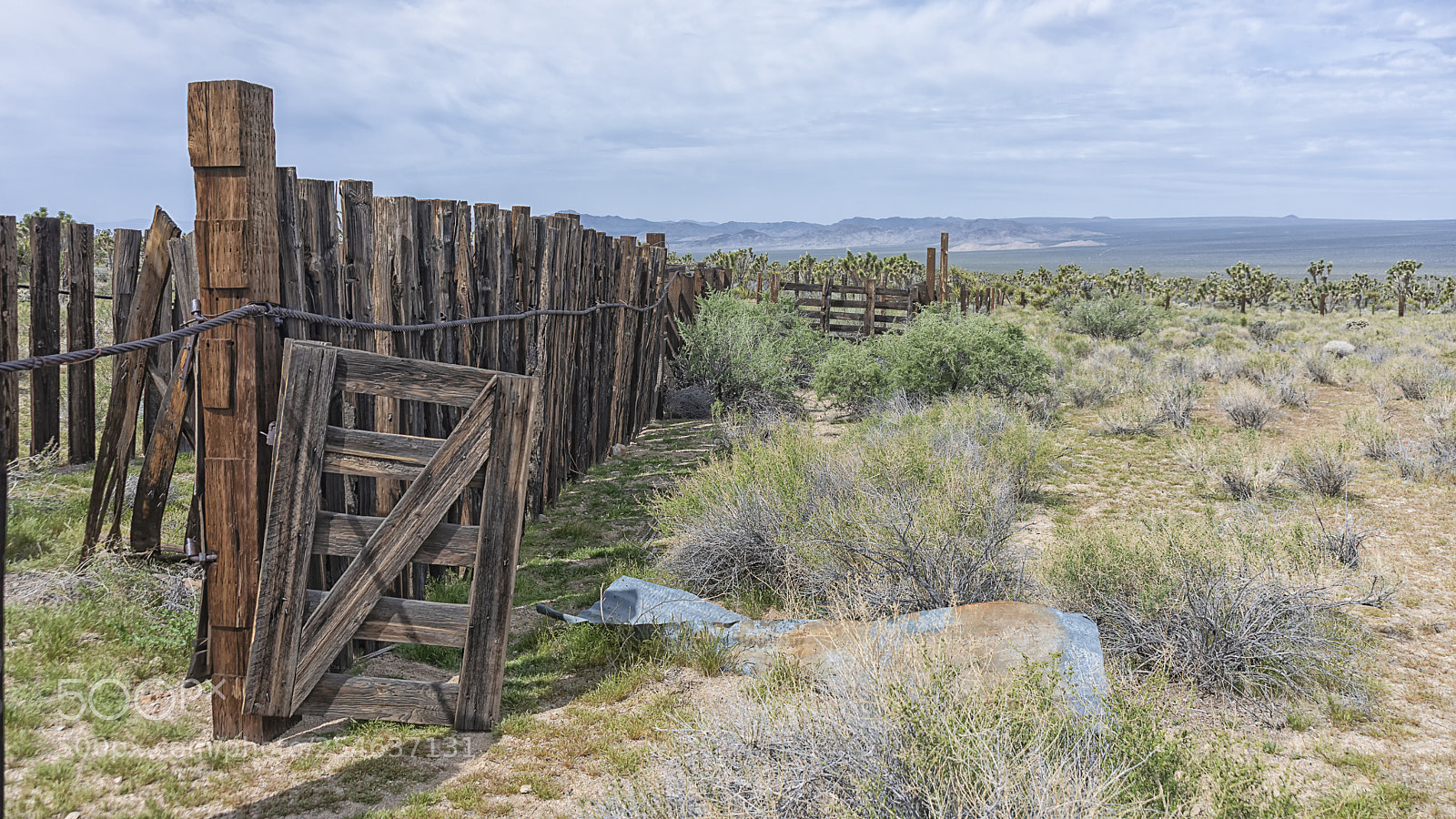 Nikon D800 sample photo. Open gate photography