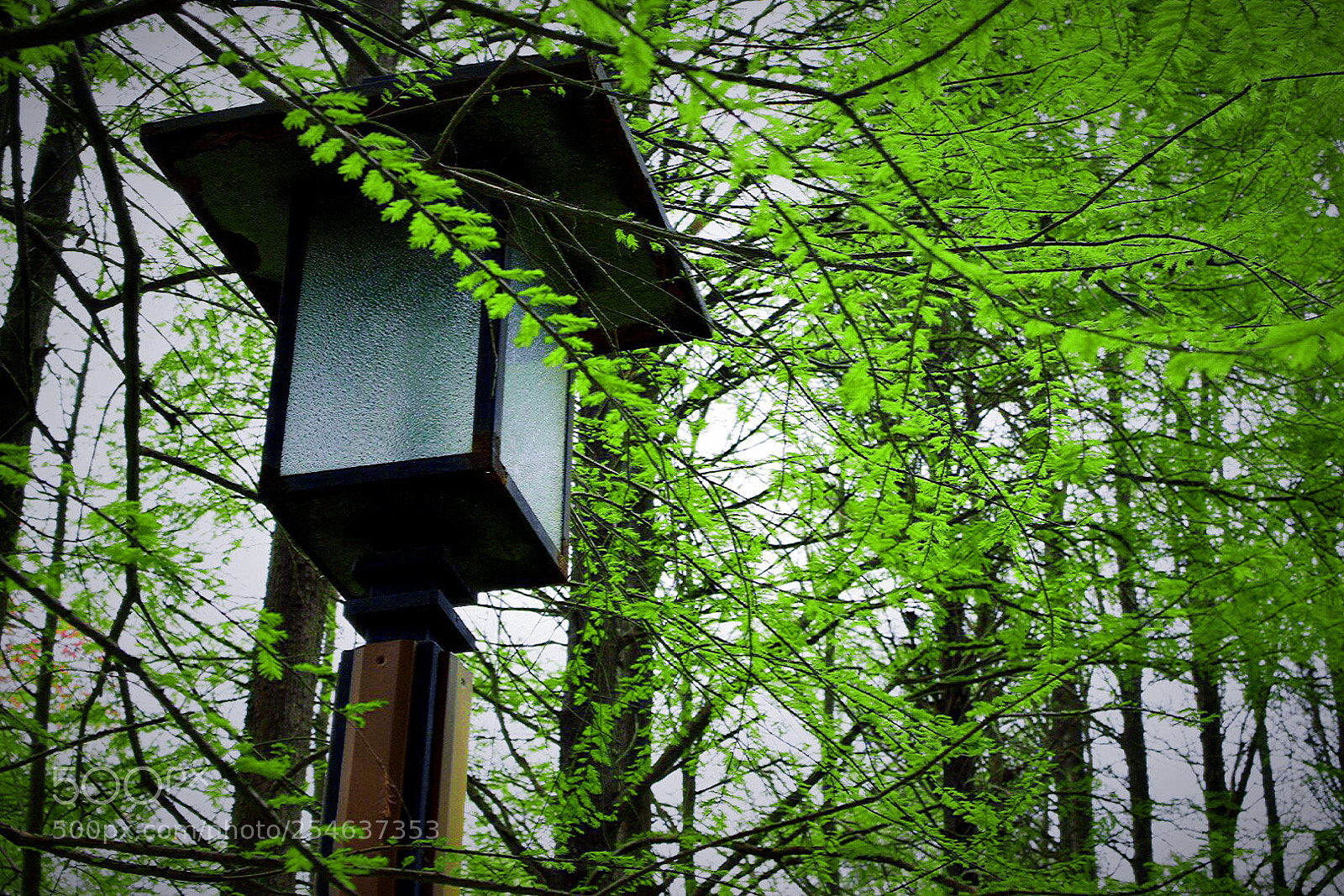 Nikon D5300 sample photo. Untitled photography
