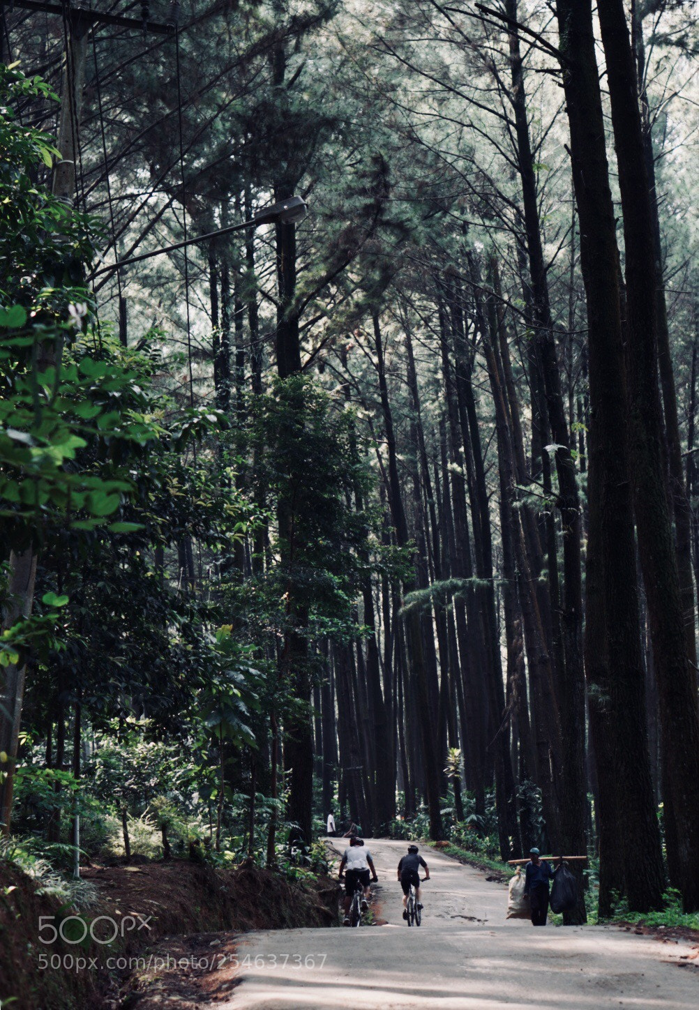 Sony a6000 sample photo. Biking to pancar mountain photography
