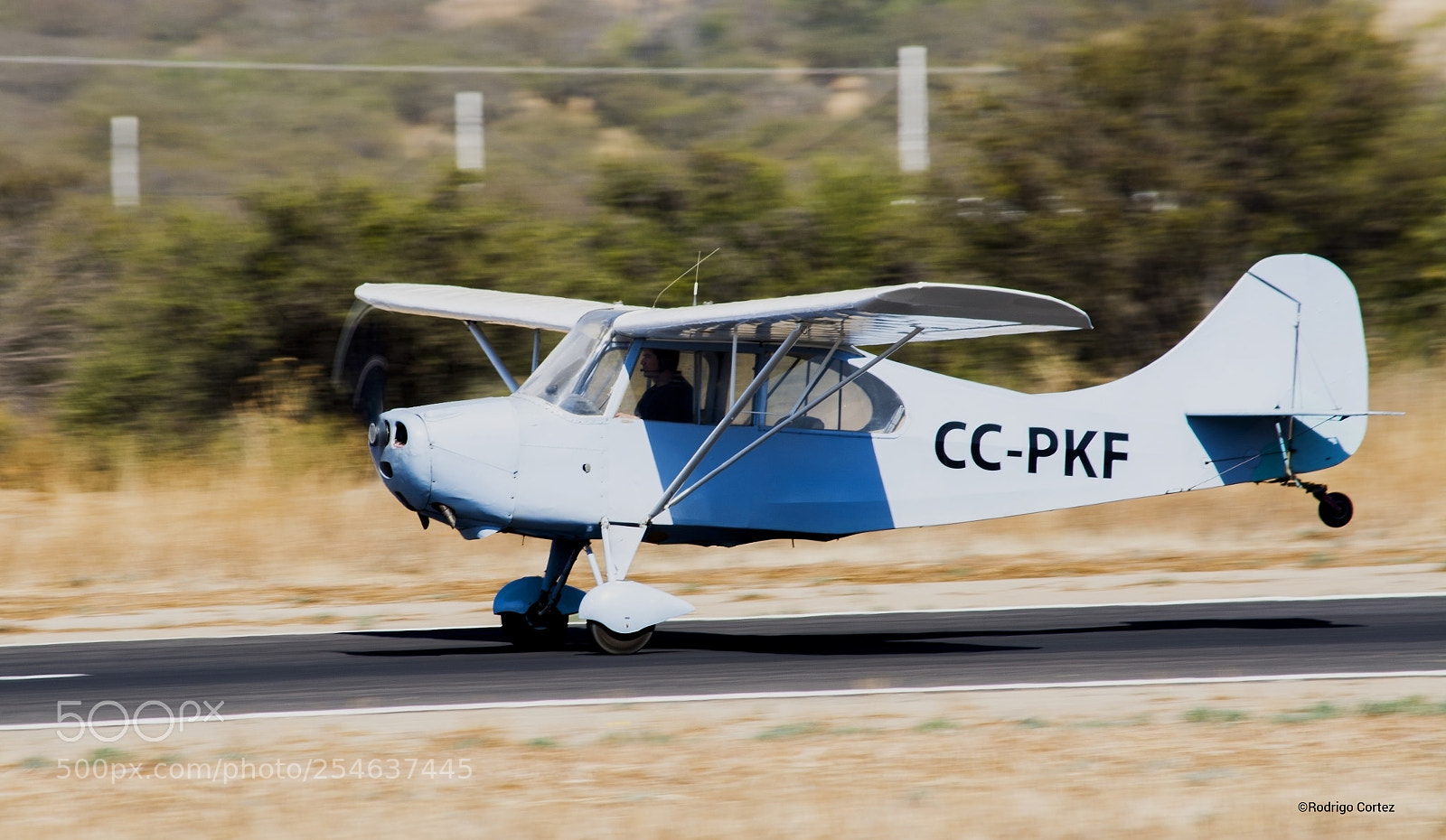 Nikon D5200 sample photo. Aeronca champion photography