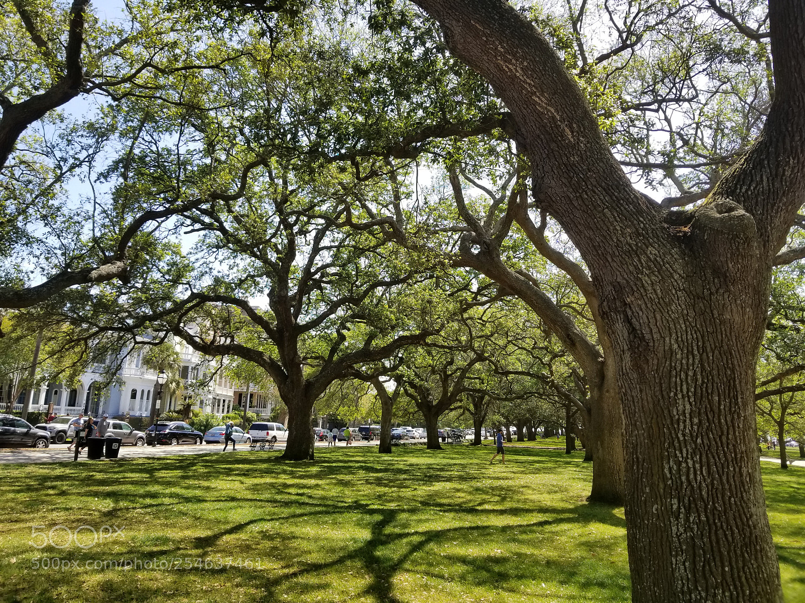 Samsung Galaxy S8+ sample photo. Untitled photography