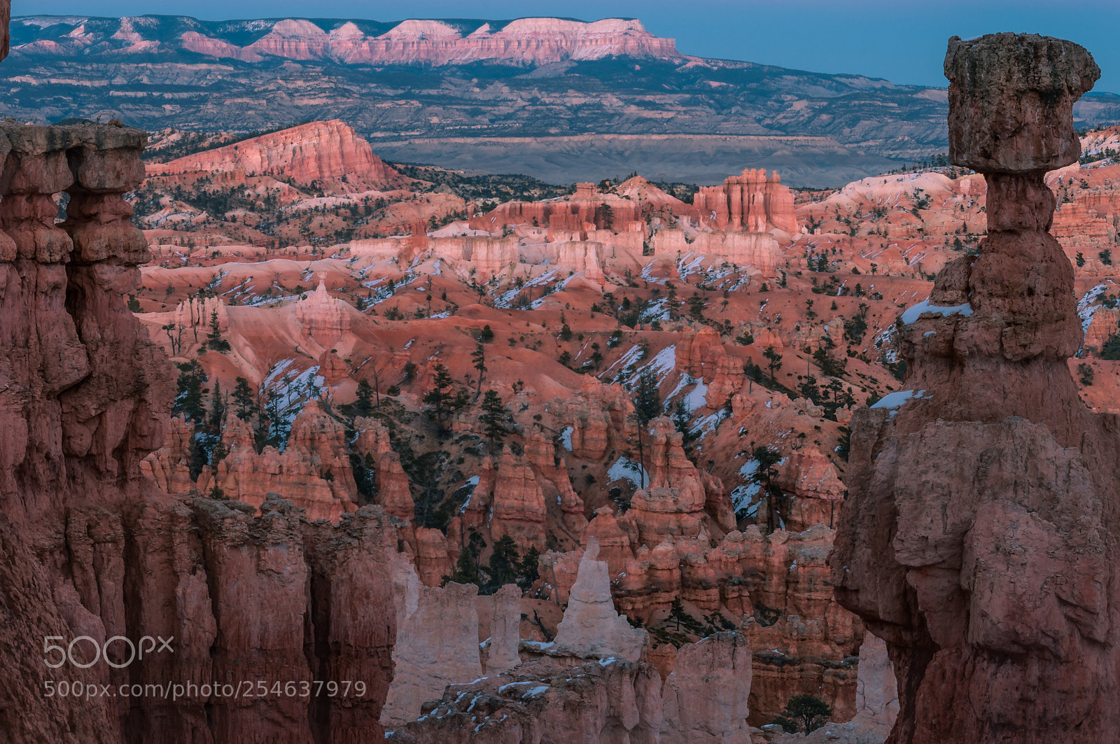 Nikon D5000 sample photo. Bryce canyon photography
