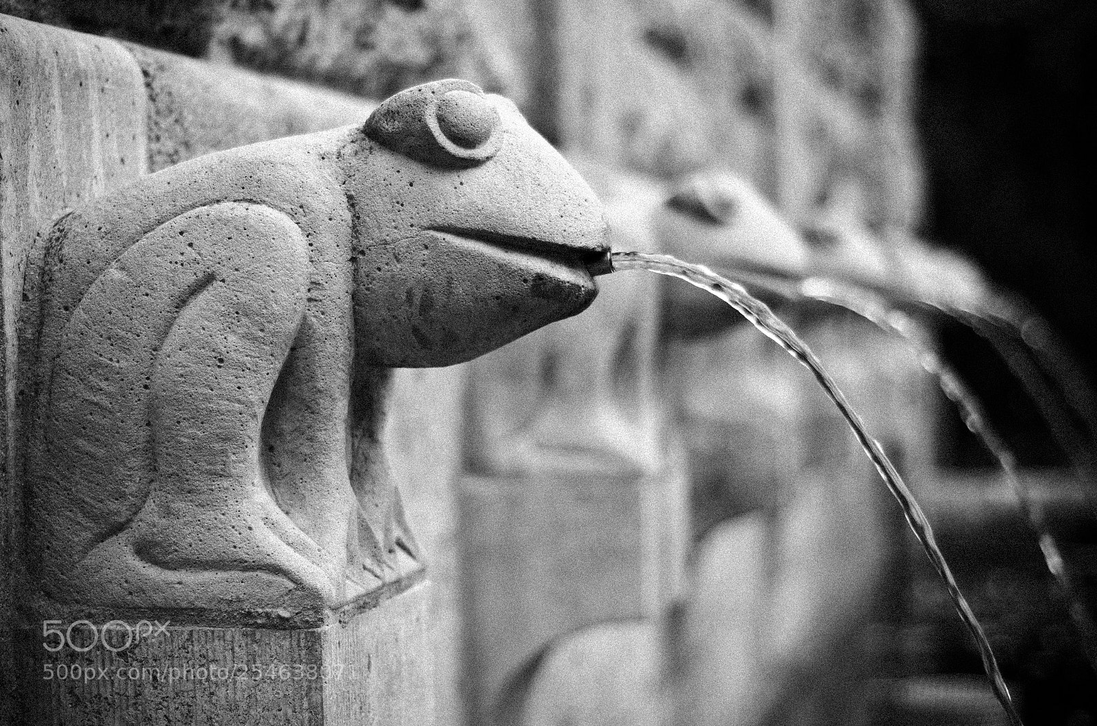 Nikon D7000 sample photo. Froschbrunnen im klosterbergegarten in photography