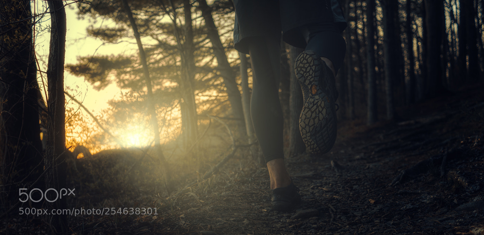Sony a6300 sample photo. Trail run at dusk photography
