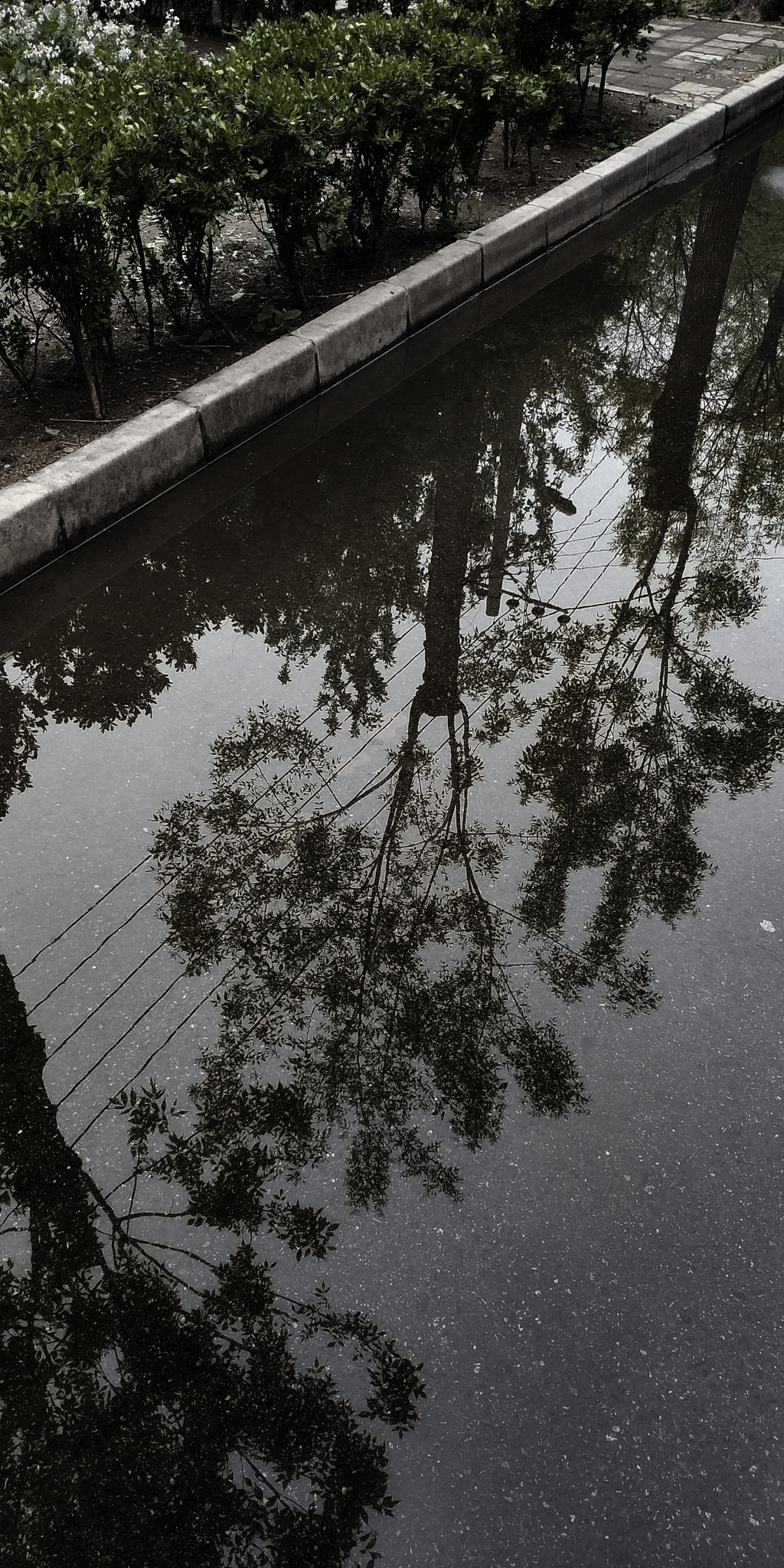 Xiaomi MIX 2 sample photo. A cold rain photography
