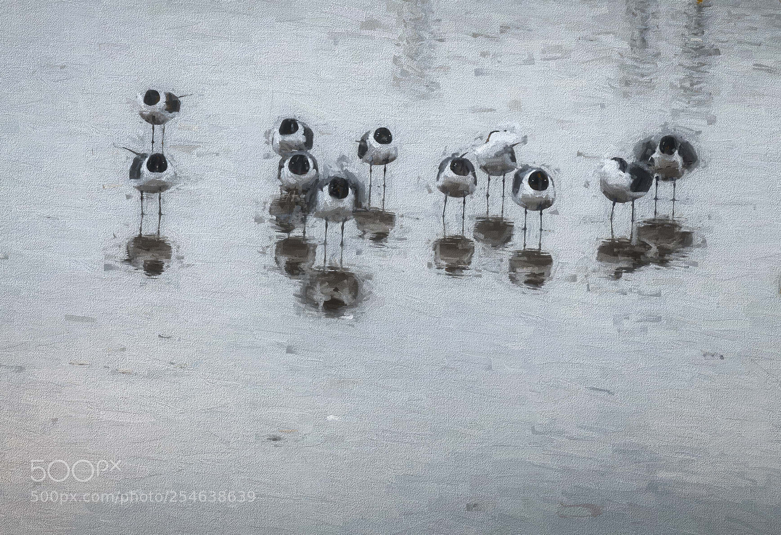 Nikon D300 sample photo. The birds photography