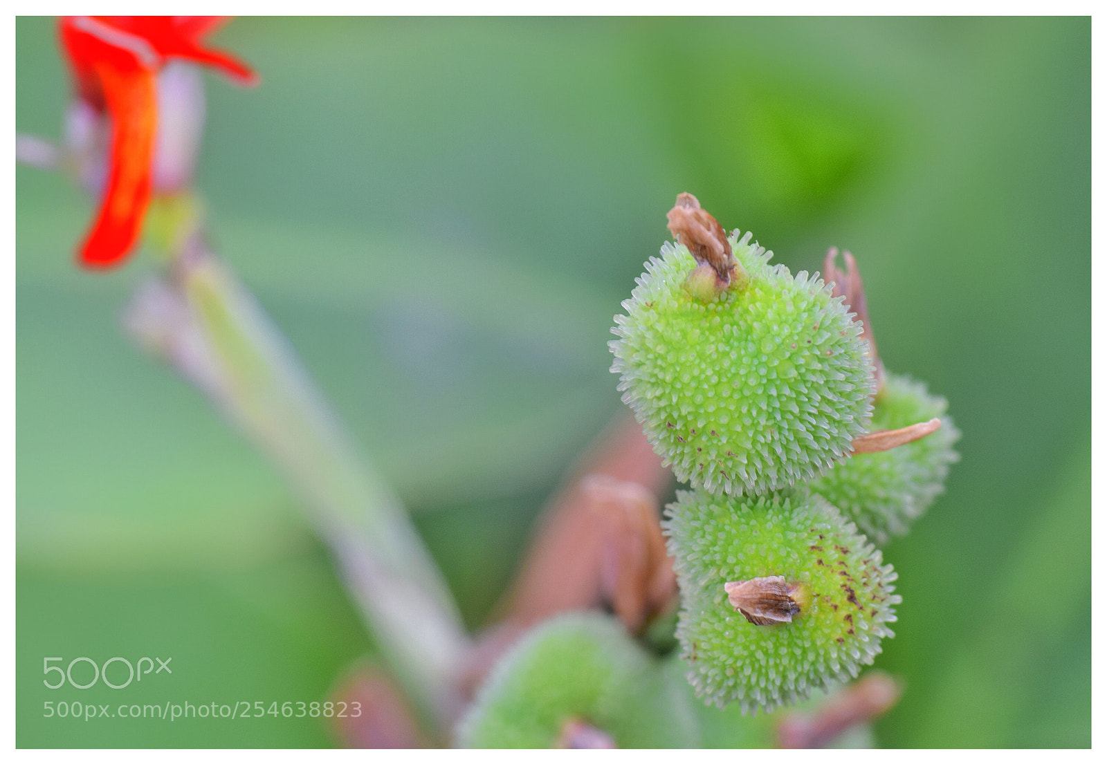 Nikon D3300 sample photo. Untitled photography