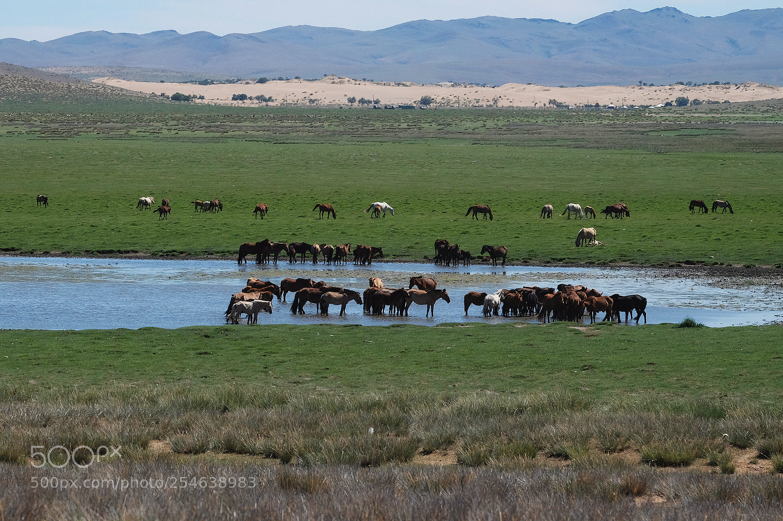 Fujifilm X-E2 sample photo. Mongolia photography