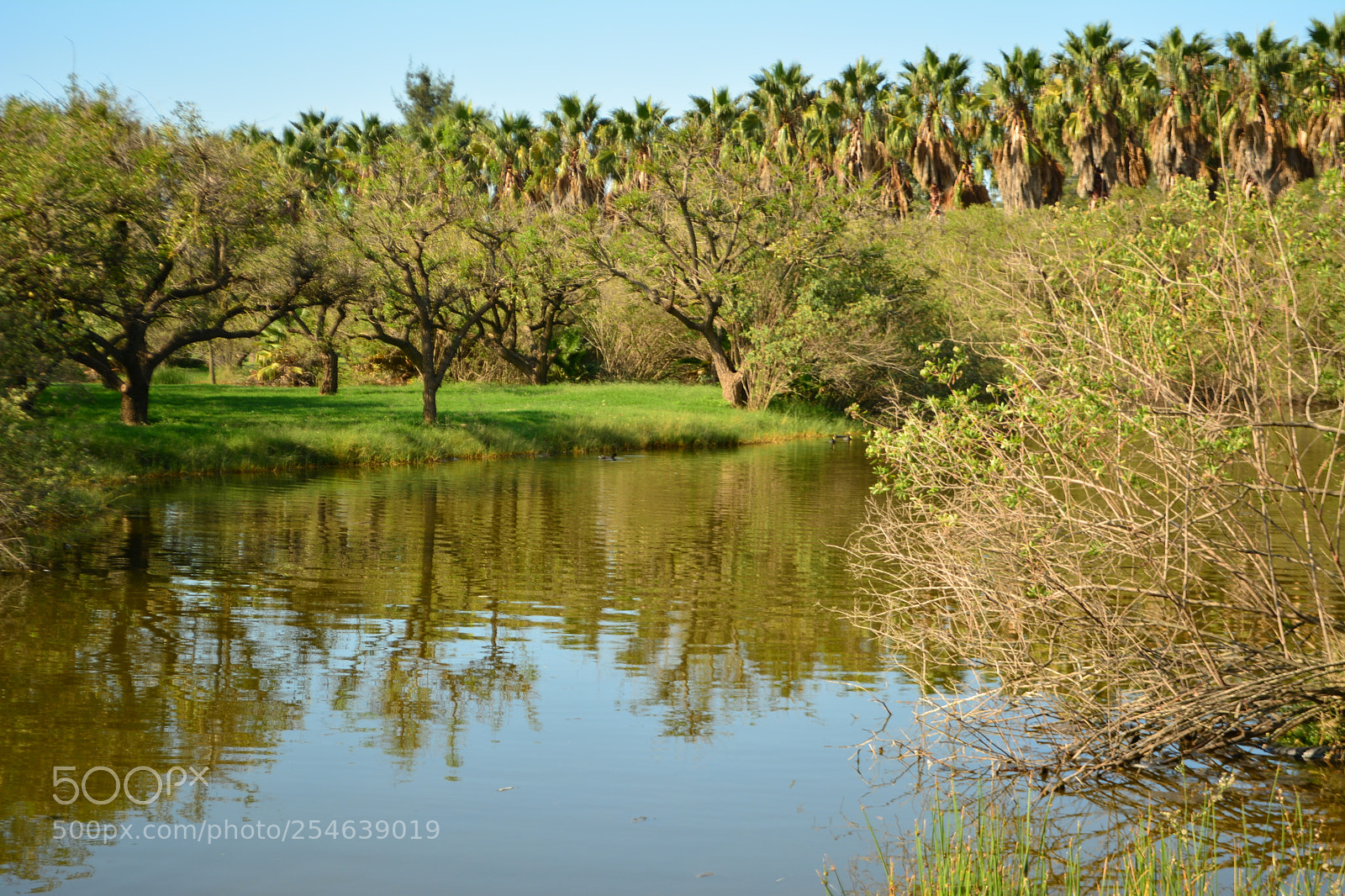 Nikon D5200 sample photo. Untitled photography