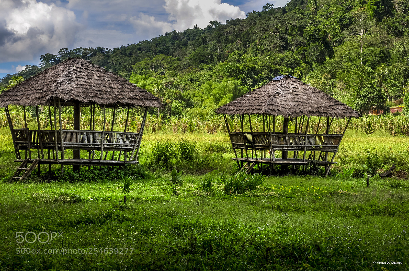 Nikon D90 sample photo. Farmer's nipa hut photography